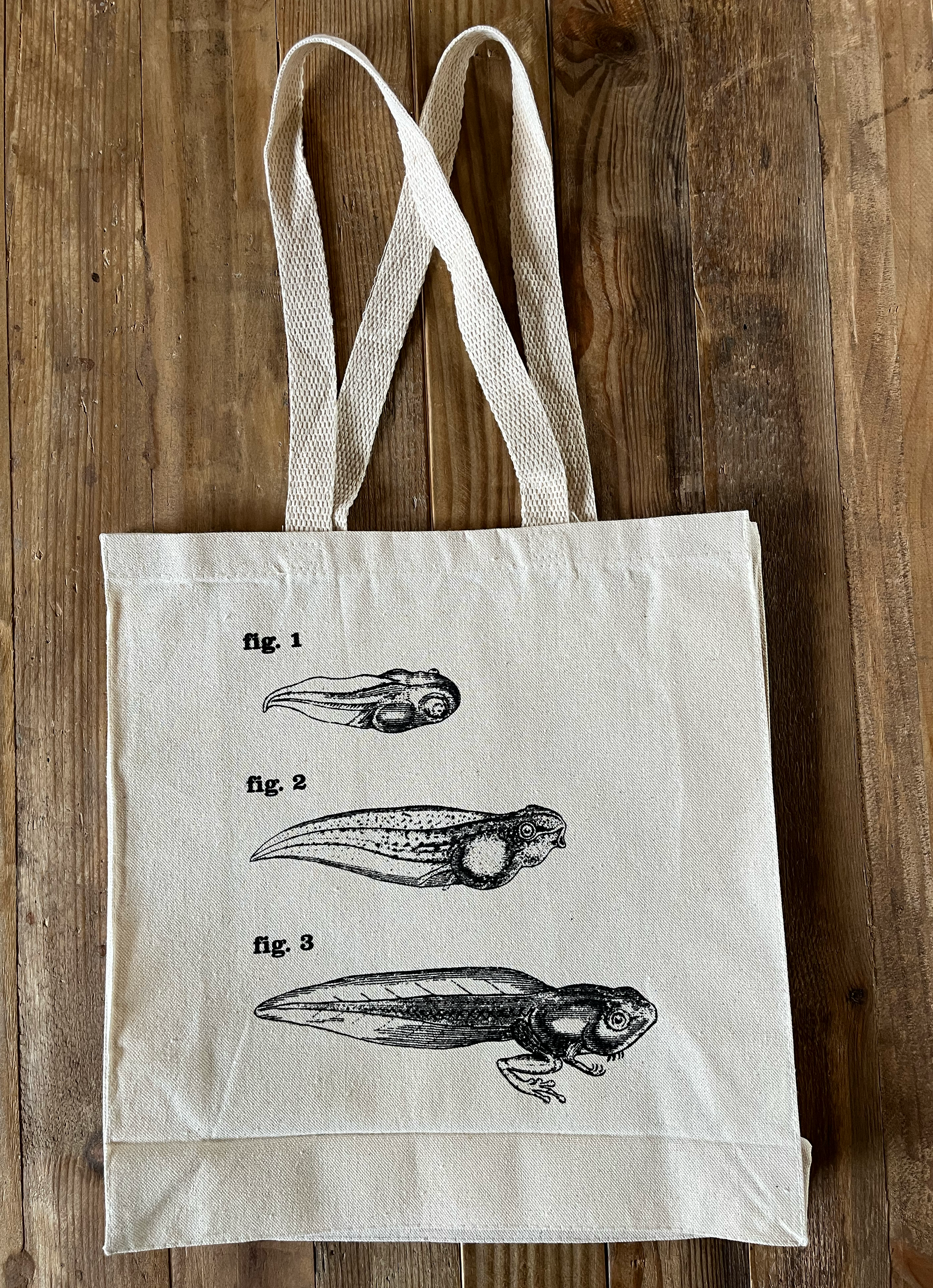 Frog 4 Figs Natural 01.png