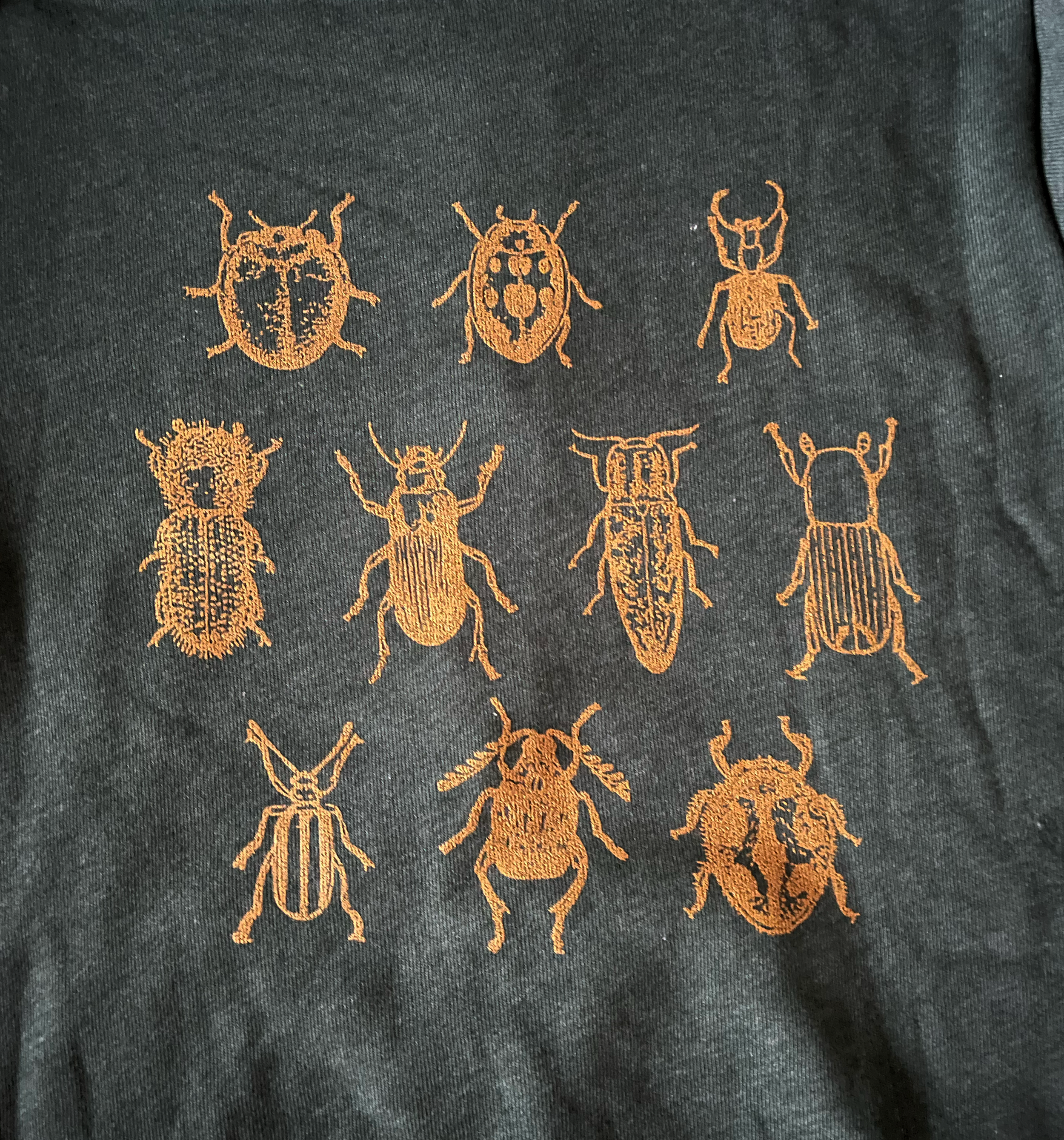 Green Hoodie Bunch of Bugs Gold 03.png