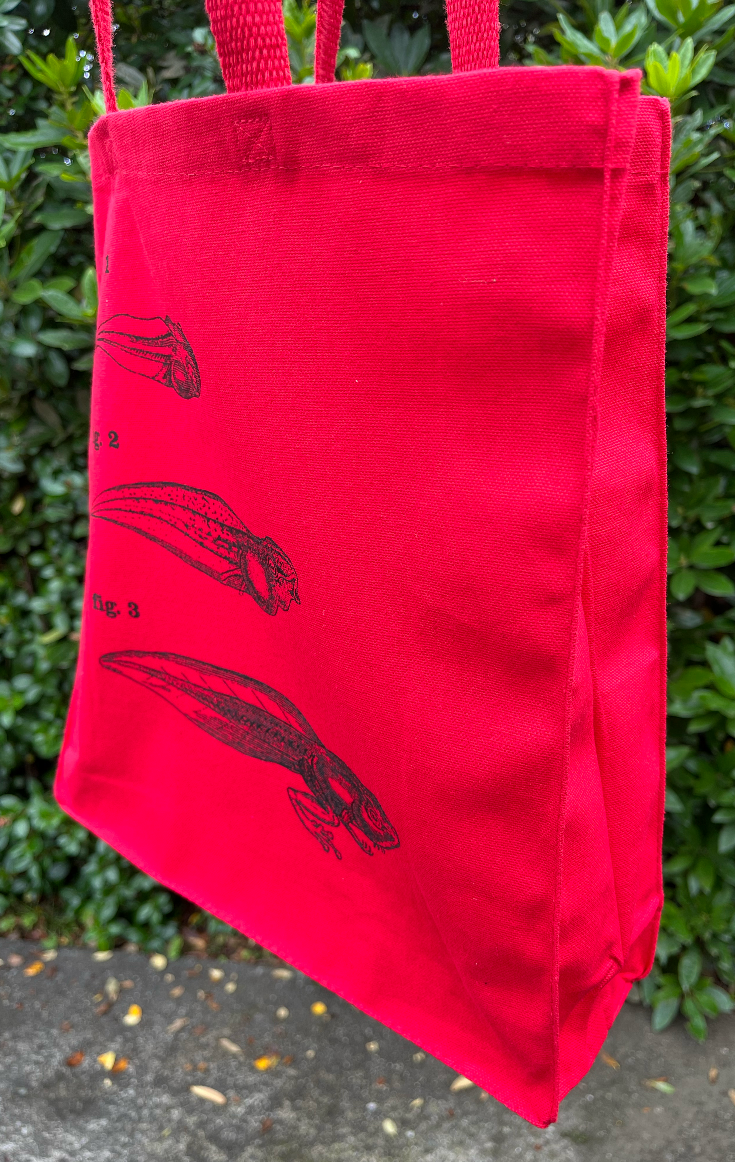 Frog 4 Figs Red 07.png