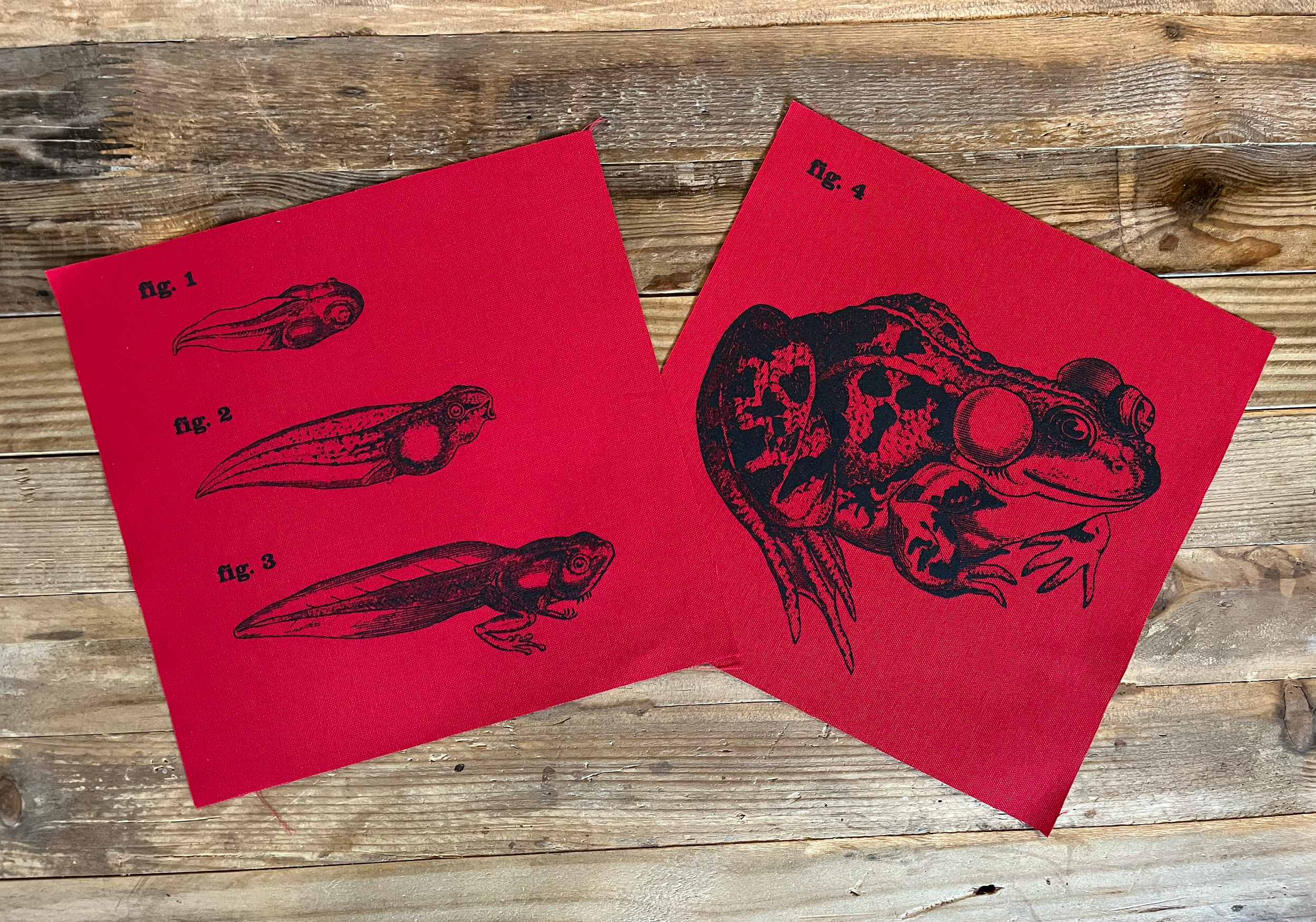 Frog Large Patches Red.png