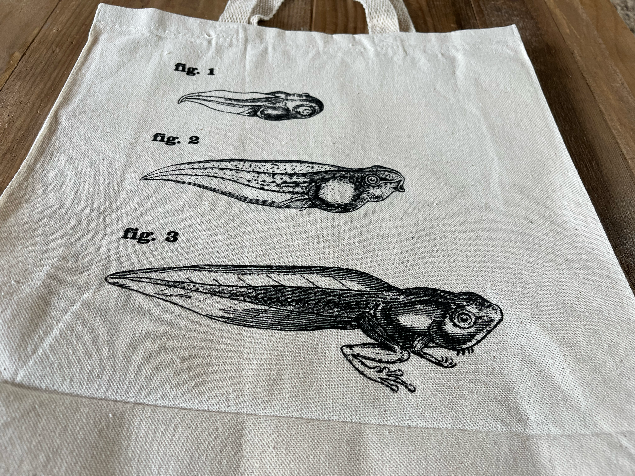 Frog 4 Figs Natural 02.png