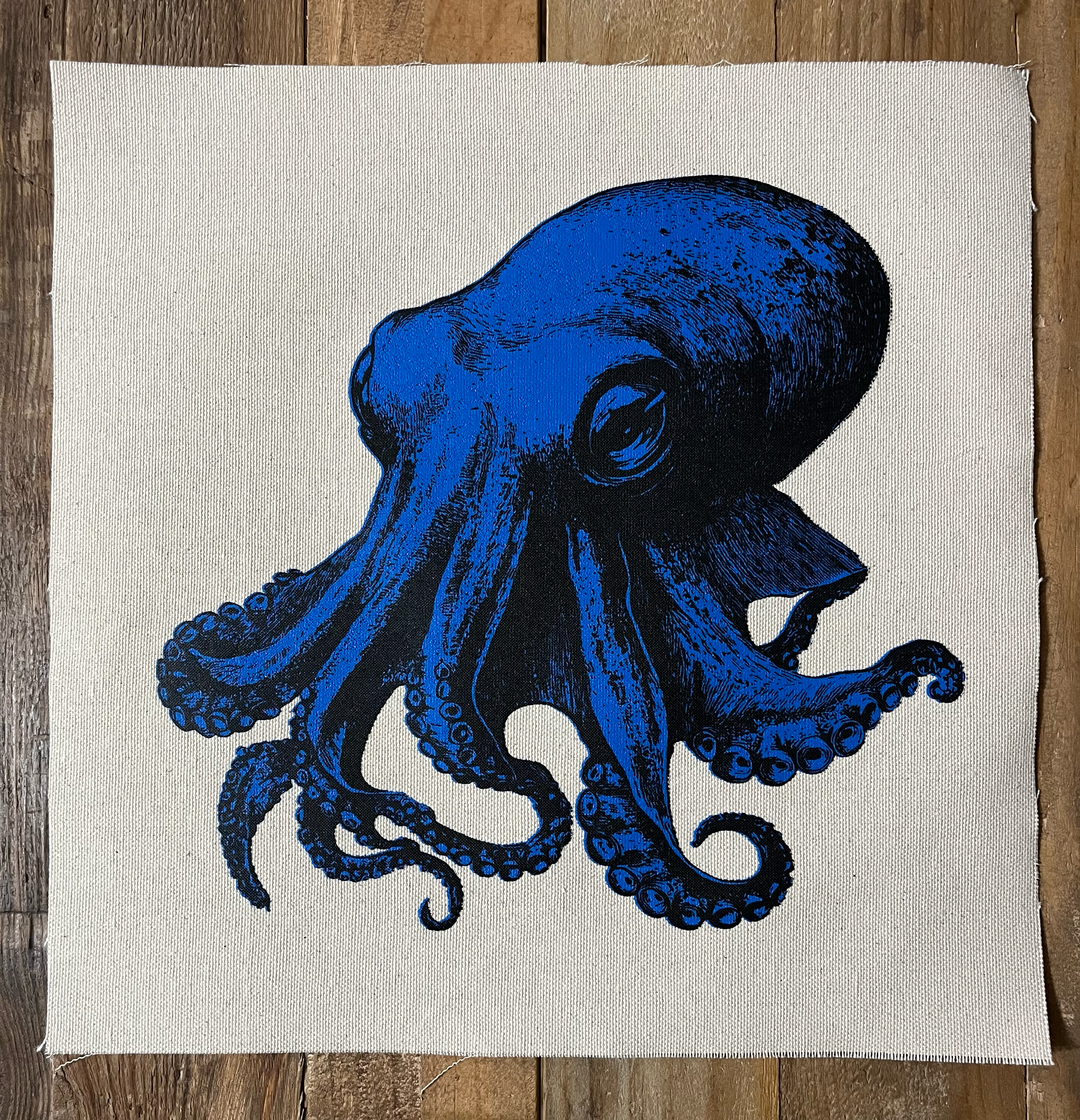 Octopus LARGE Blue on Natural.png