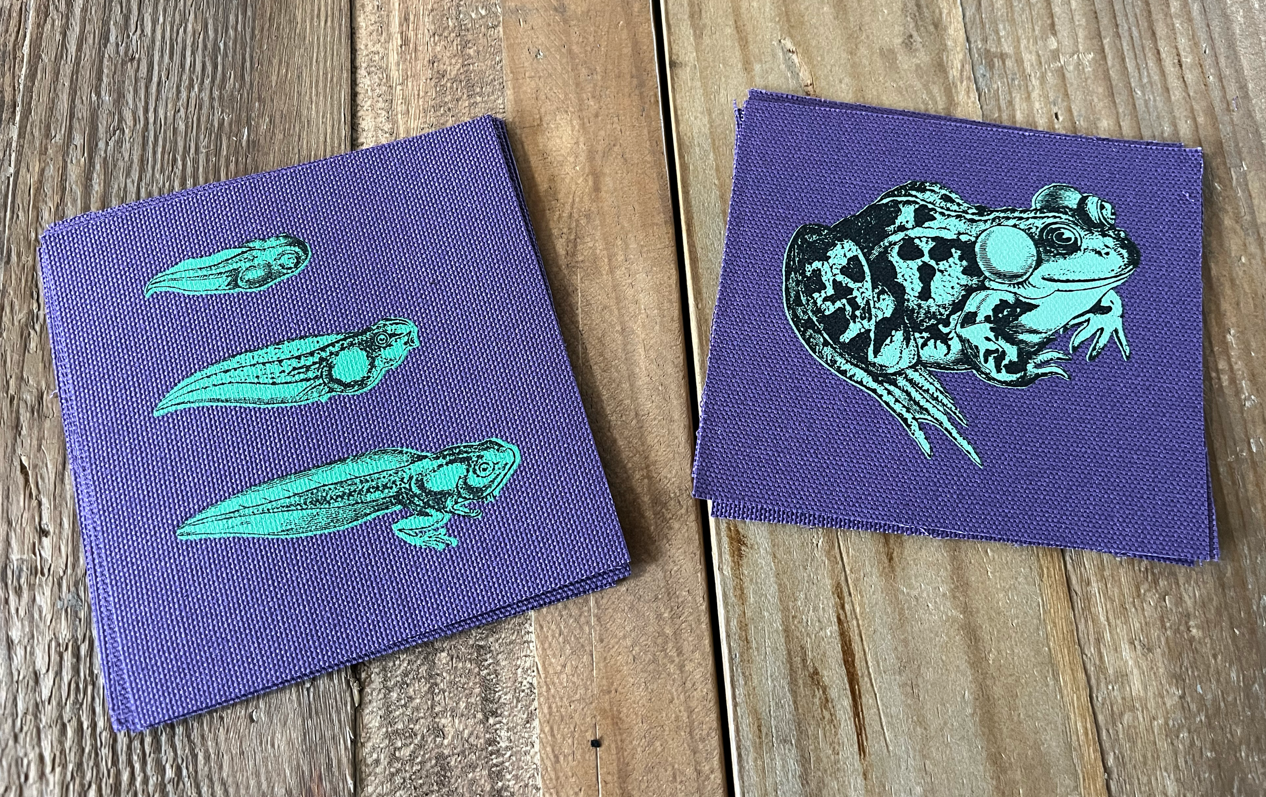 Tadpole Toad GREEN Ink Purple.png