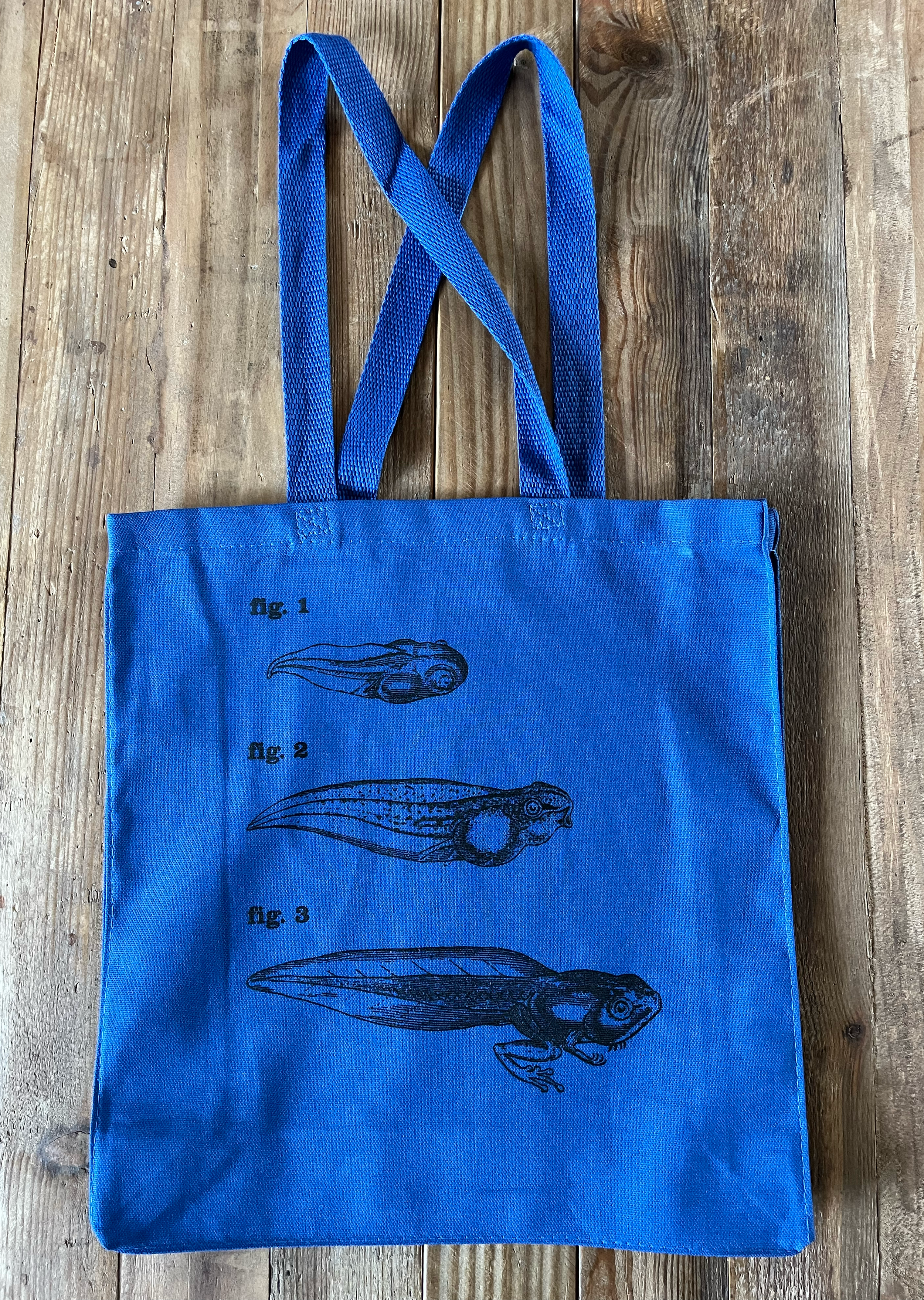 Frog 4 Figs Blue 01.png