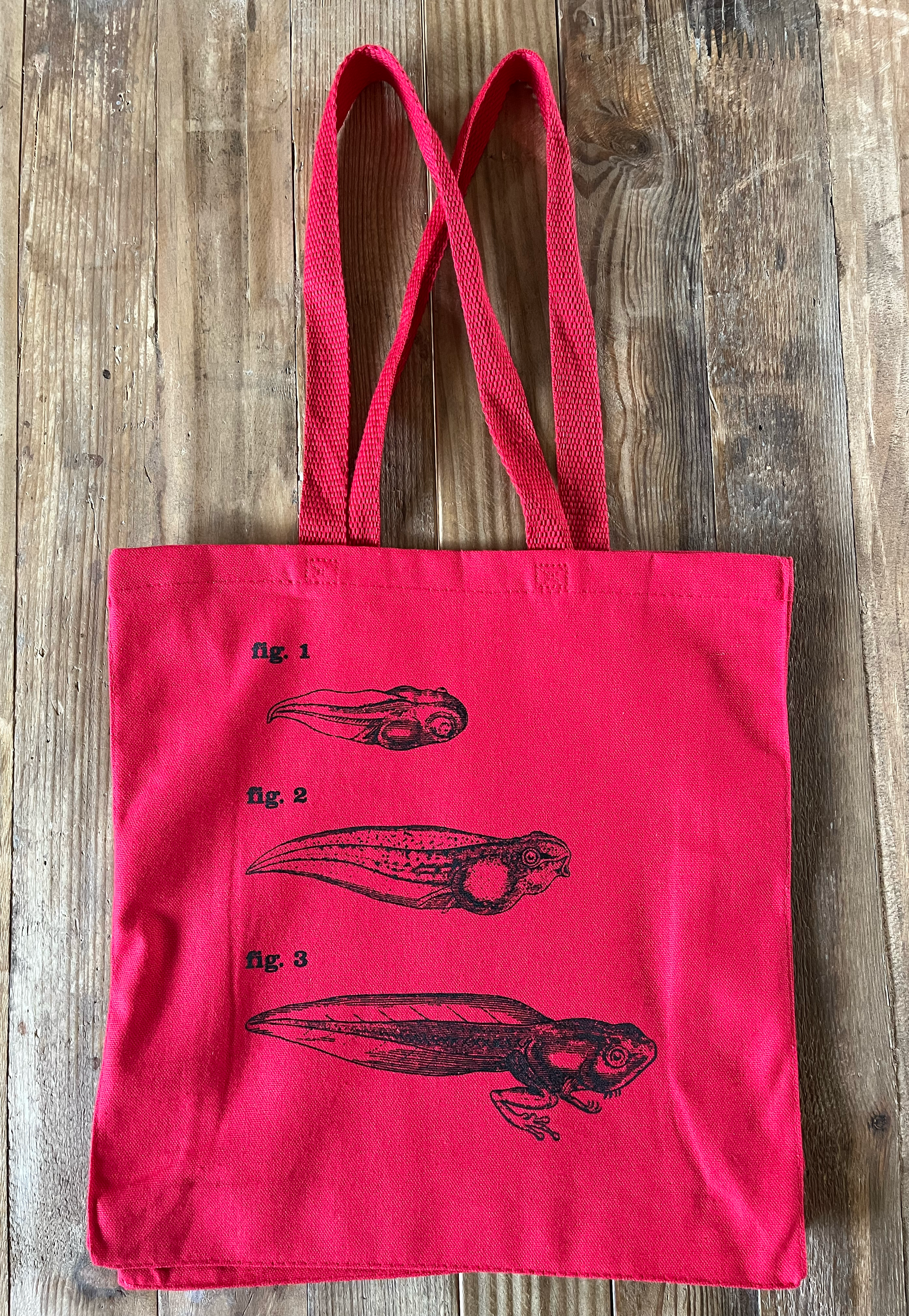 Frog 4 Figs Red 01.png