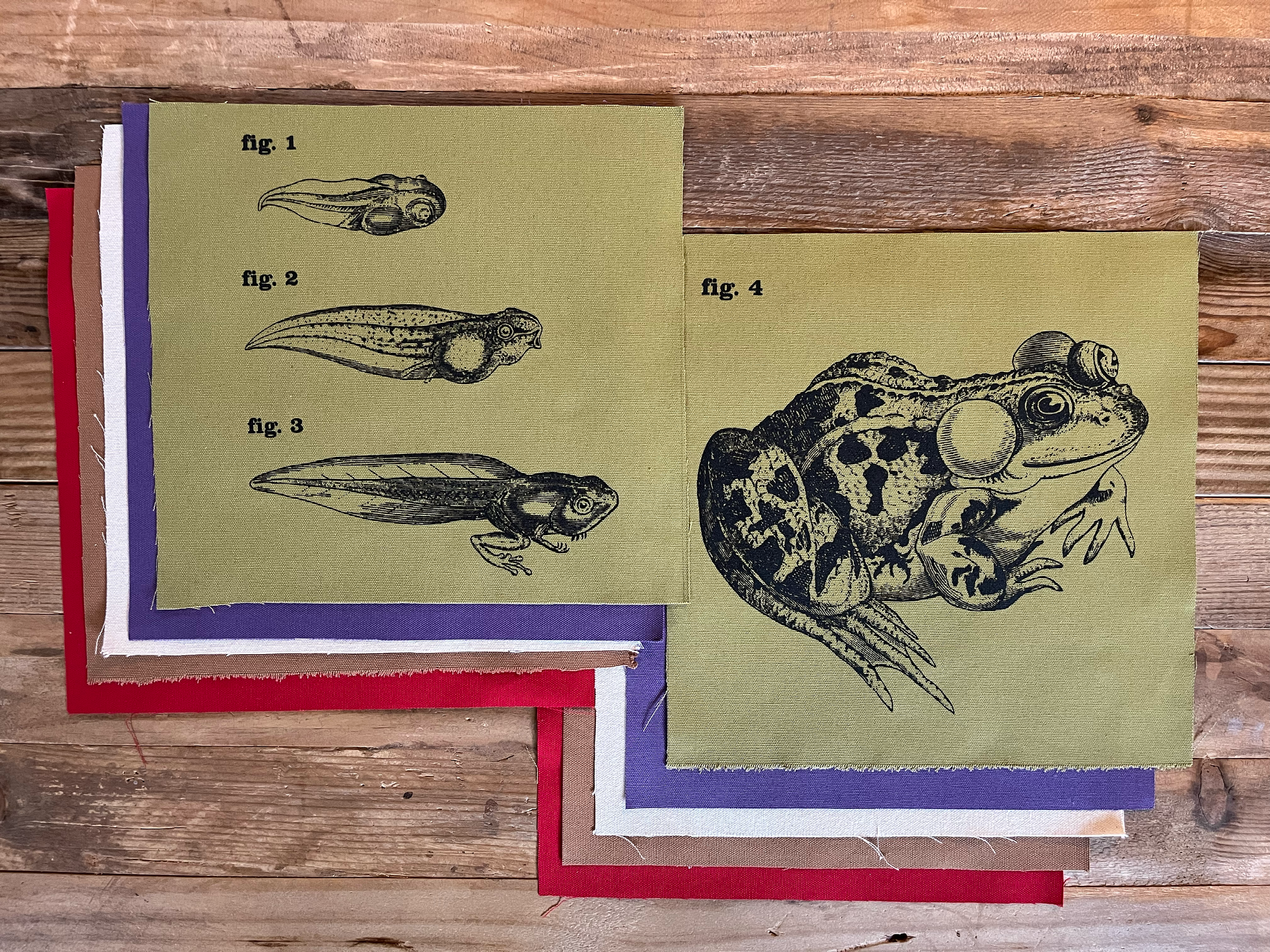 Tadpole --> Toad - Large Canvas Back Patch