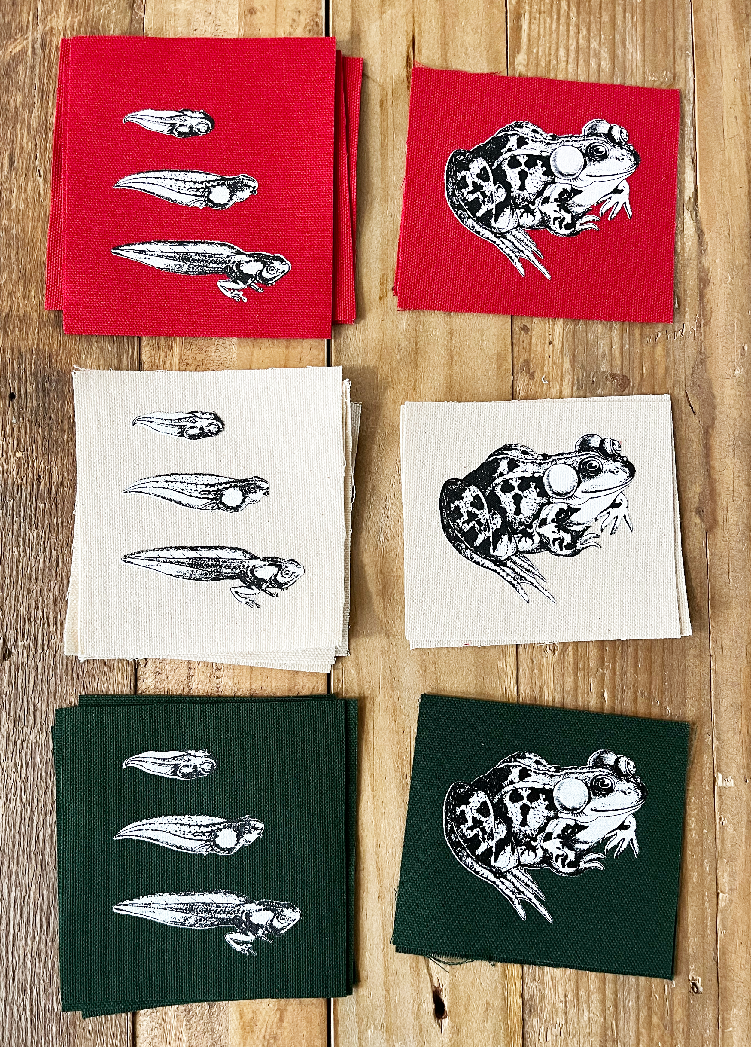 Tadpole --> Toad - Small Canvas 2 Patch Set (Black + White)