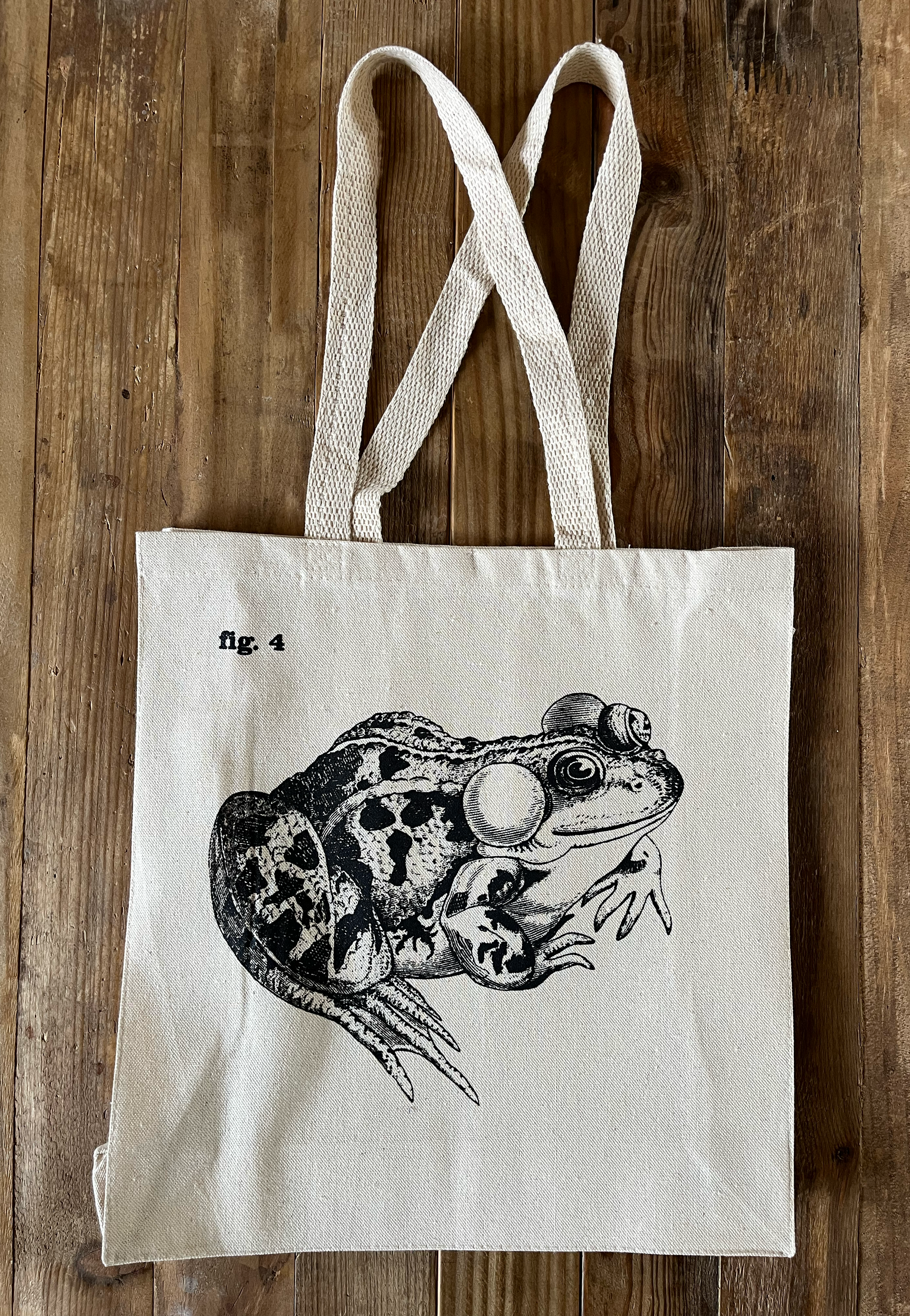 Frog 4 Figs Natural 03.png