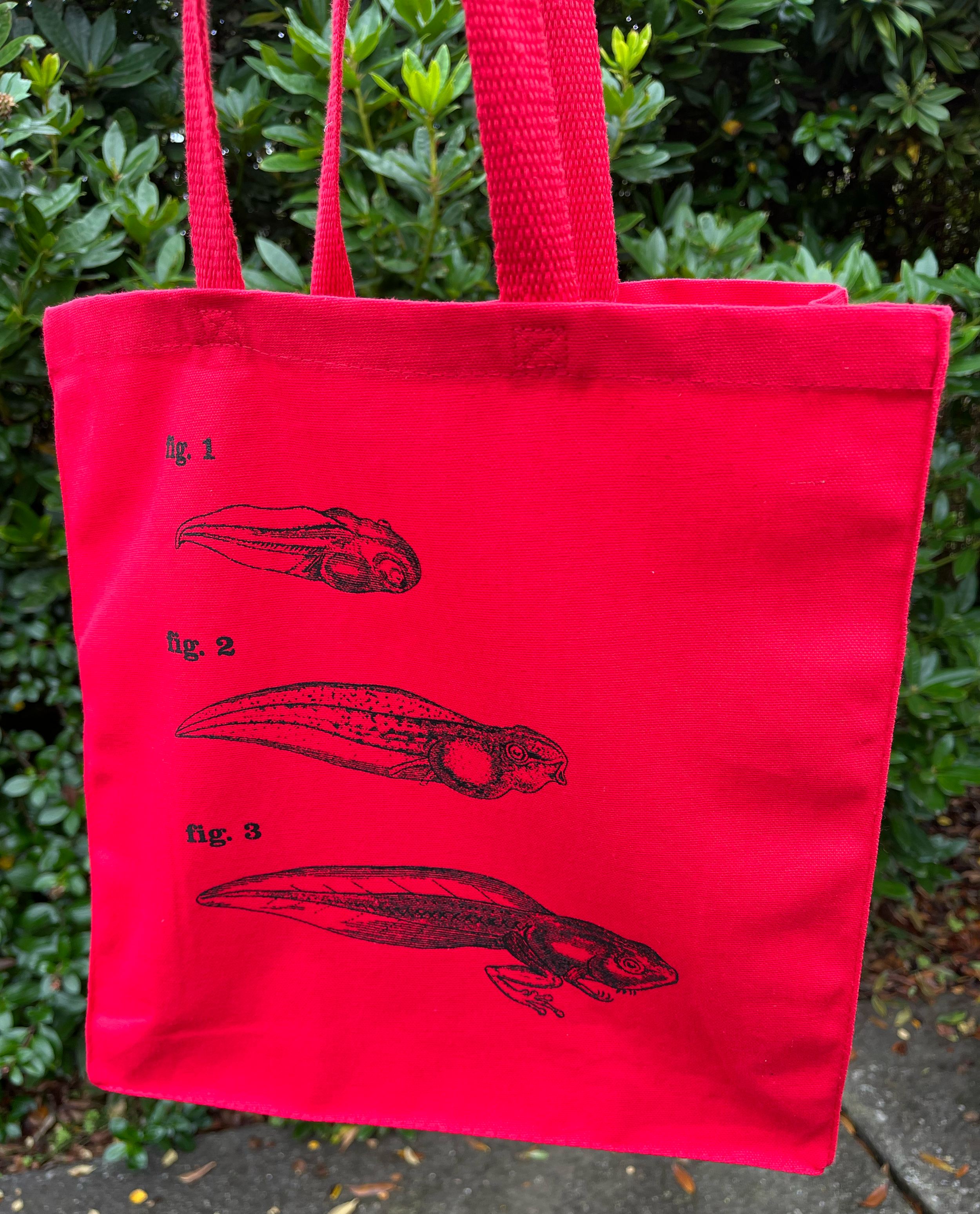 Frog 4 Figs Red 05.png