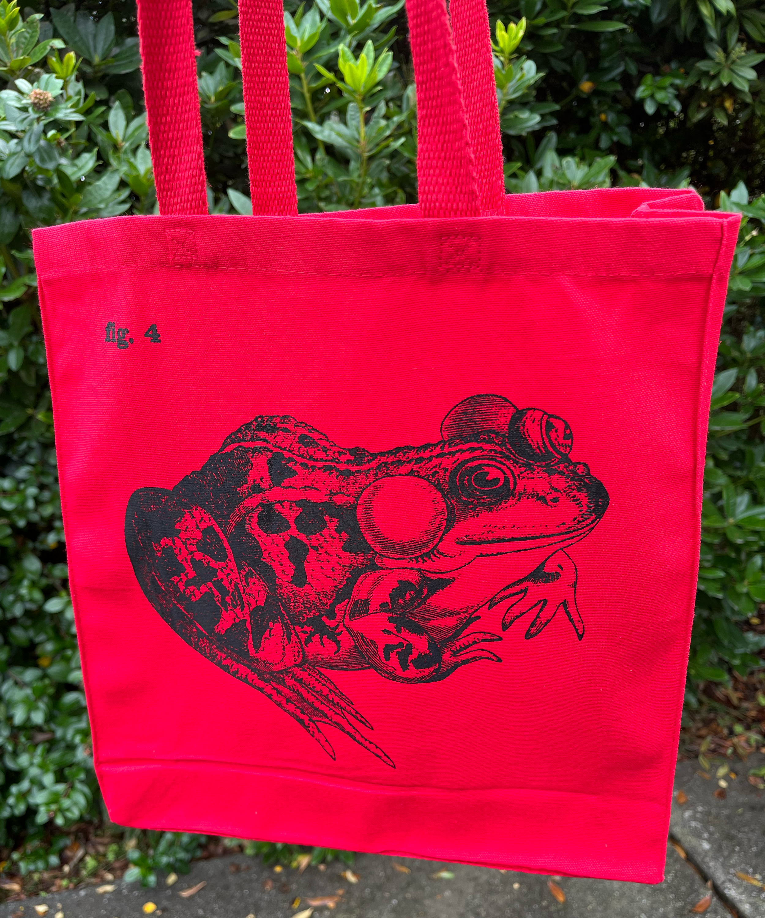 Frog 4 Figs Red 06.png