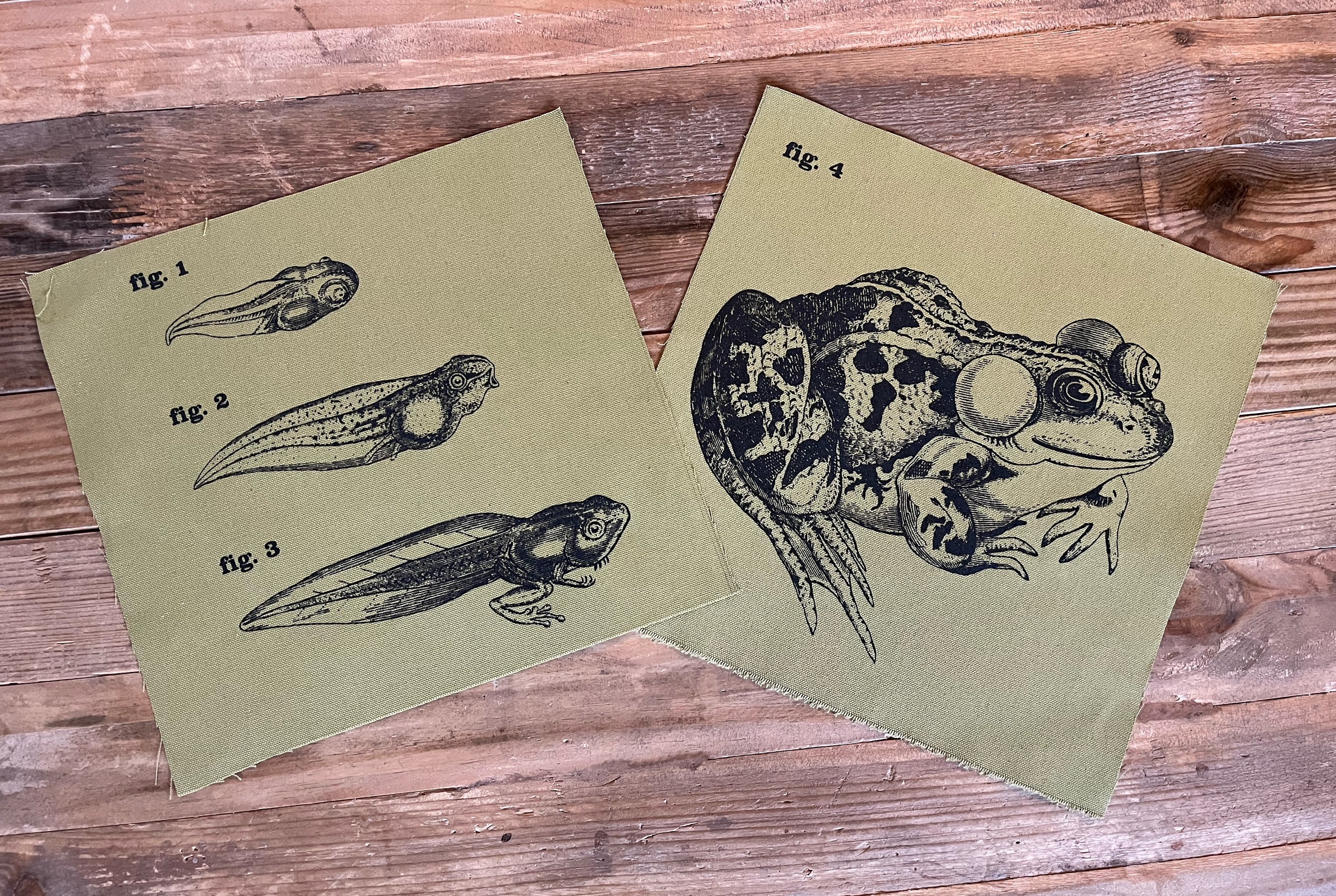 Frog Large Patches Olive Green.png