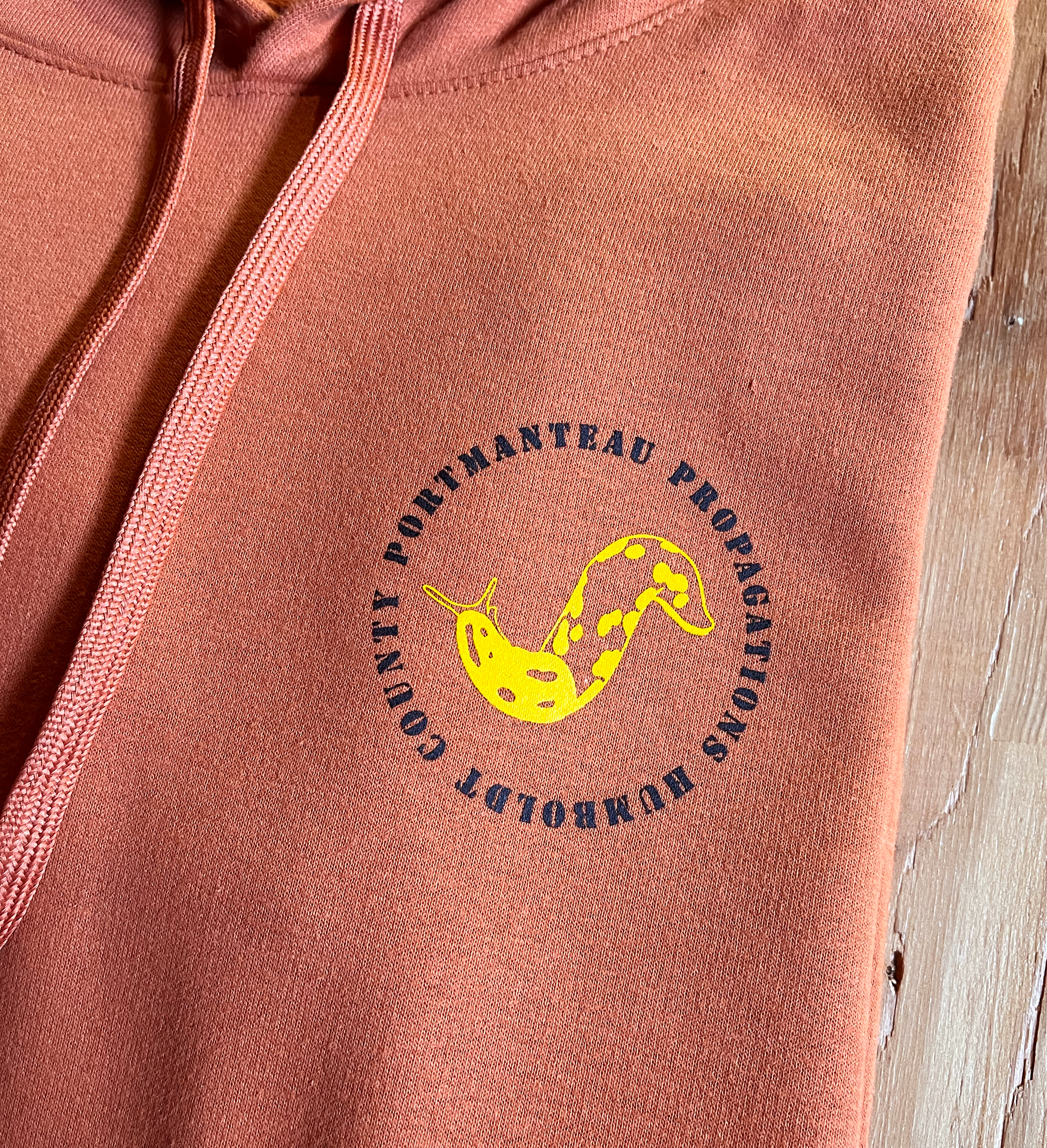 Mens Orange Hoodie 02.png
