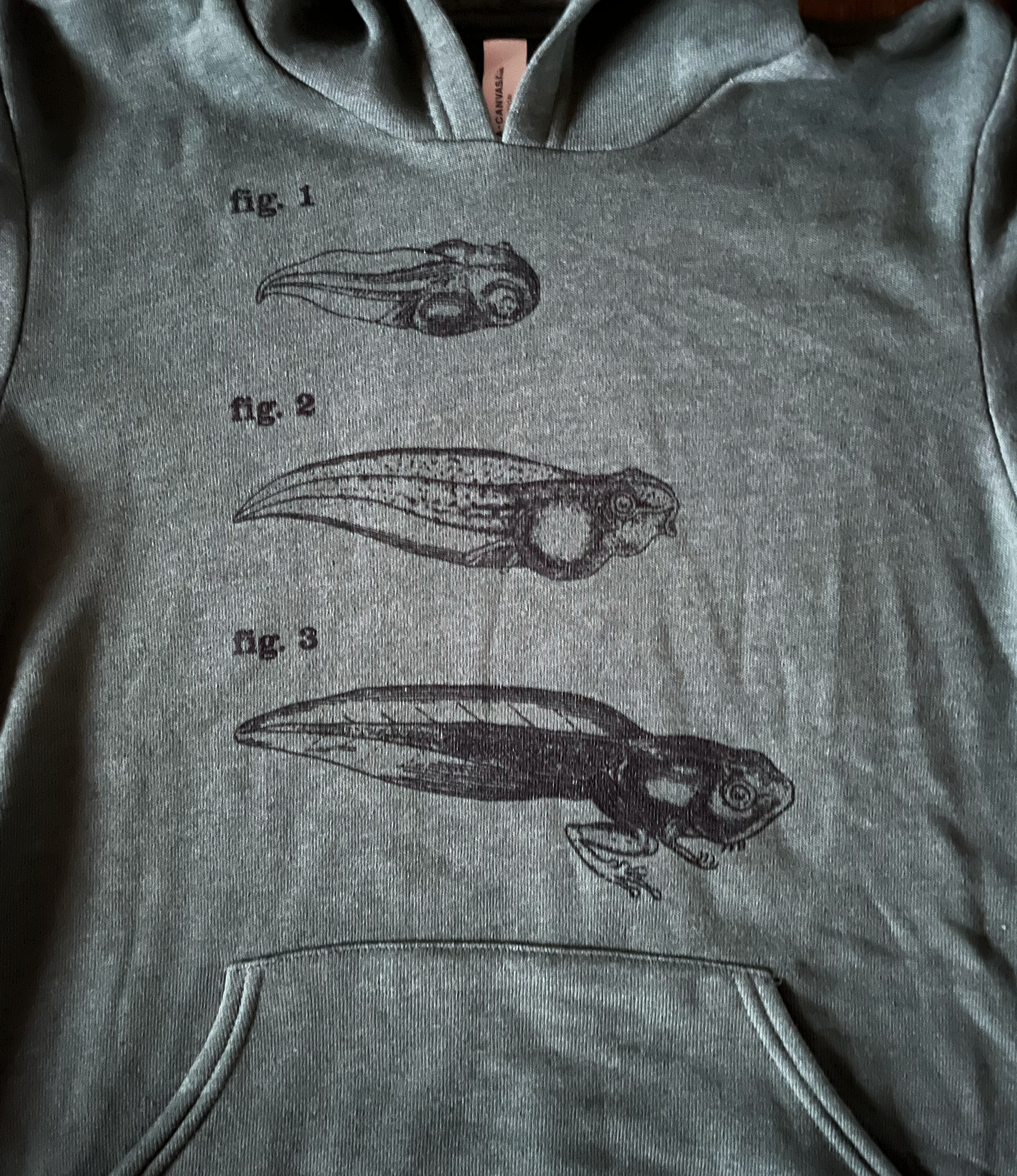 Green Hoodie Black Tadpole Toad 03.png