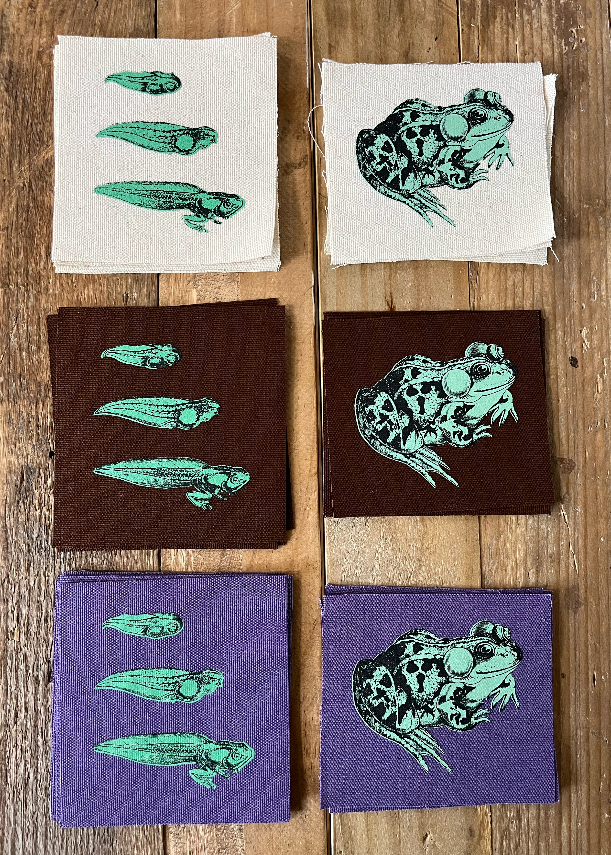 Tadpole --> Toad - Small Canvas 2 Patch Set (Black + Green)