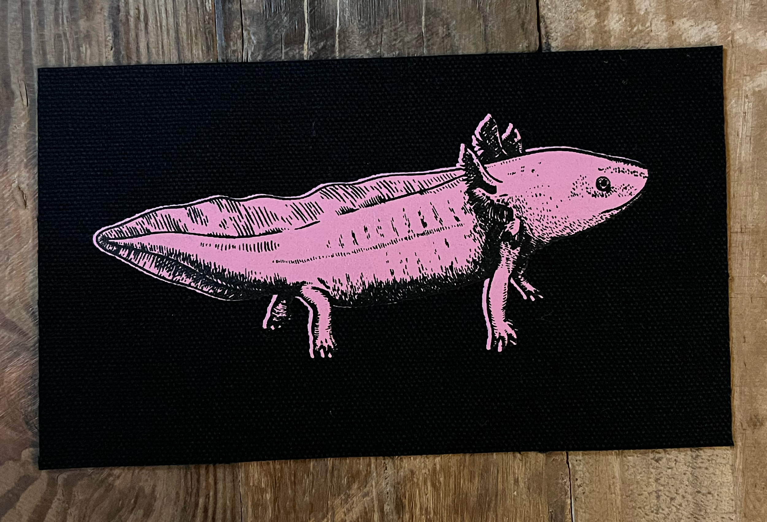 Axolotl Small Patch Pink on Black.png