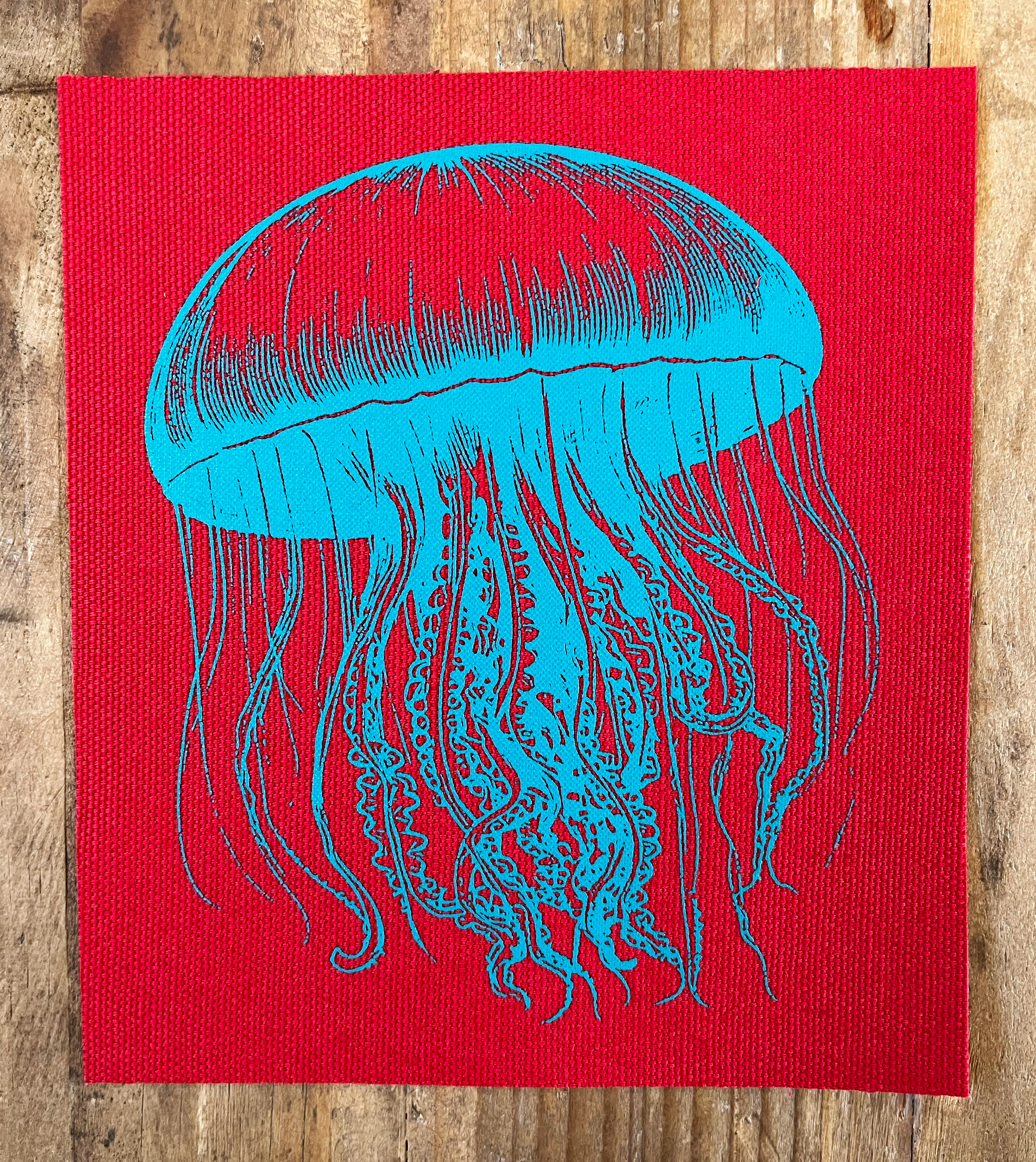 Jellyfish Small Patch Teal on Red.png