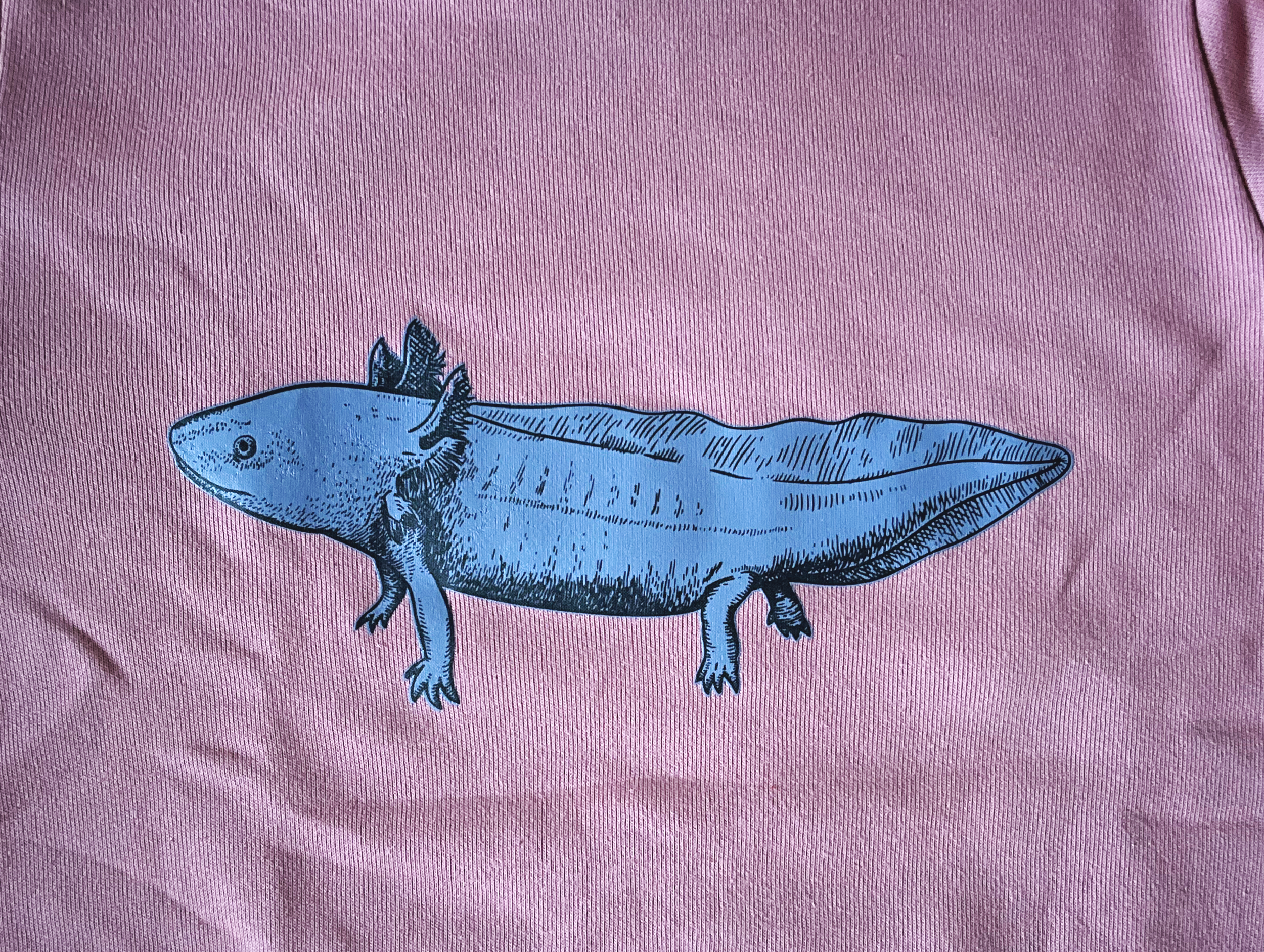 Pink+Hoodie+Purple+Axolotl+03.png
