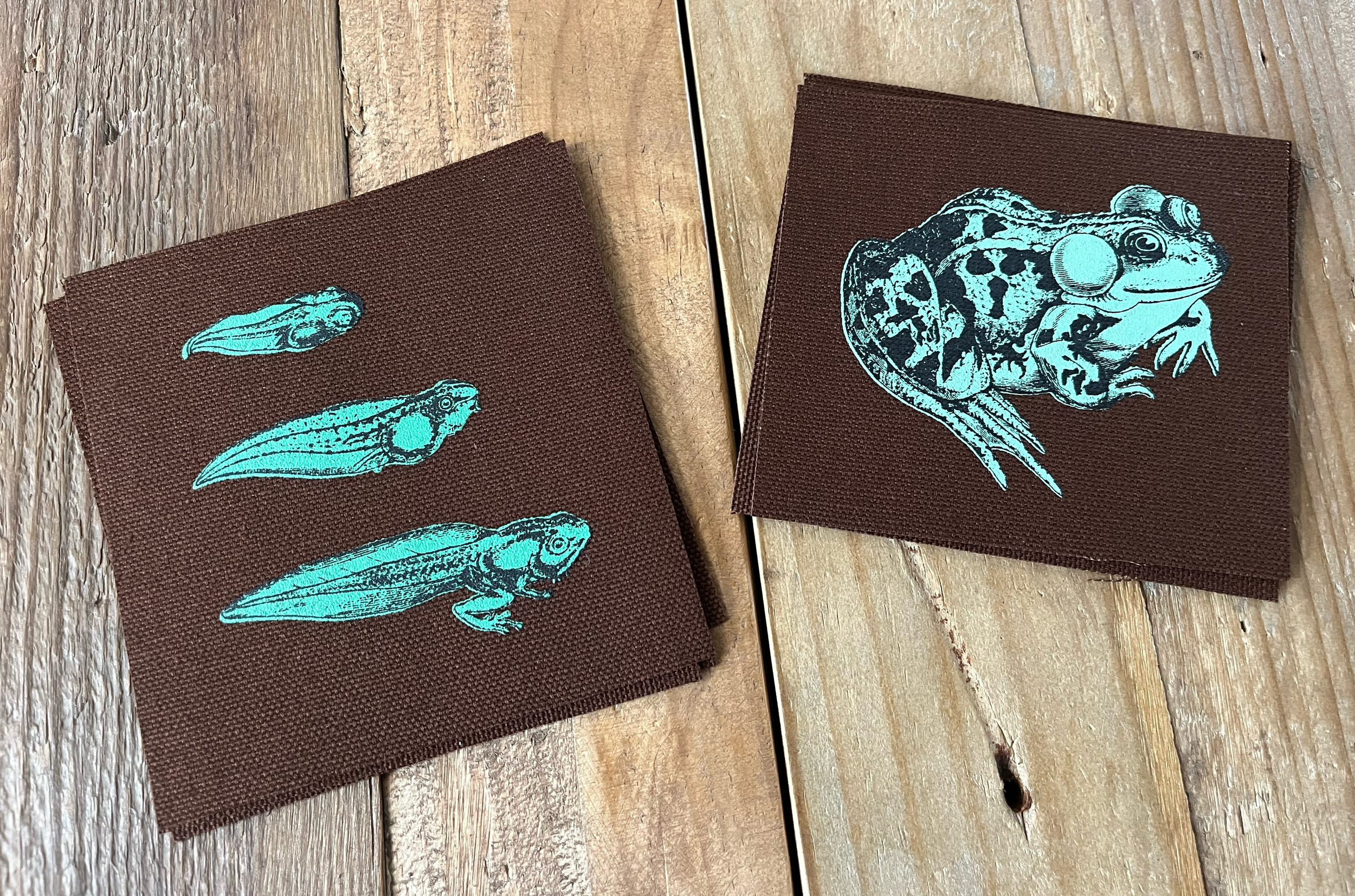 Tadpole Toad GREEN Ink Dark Brown.png