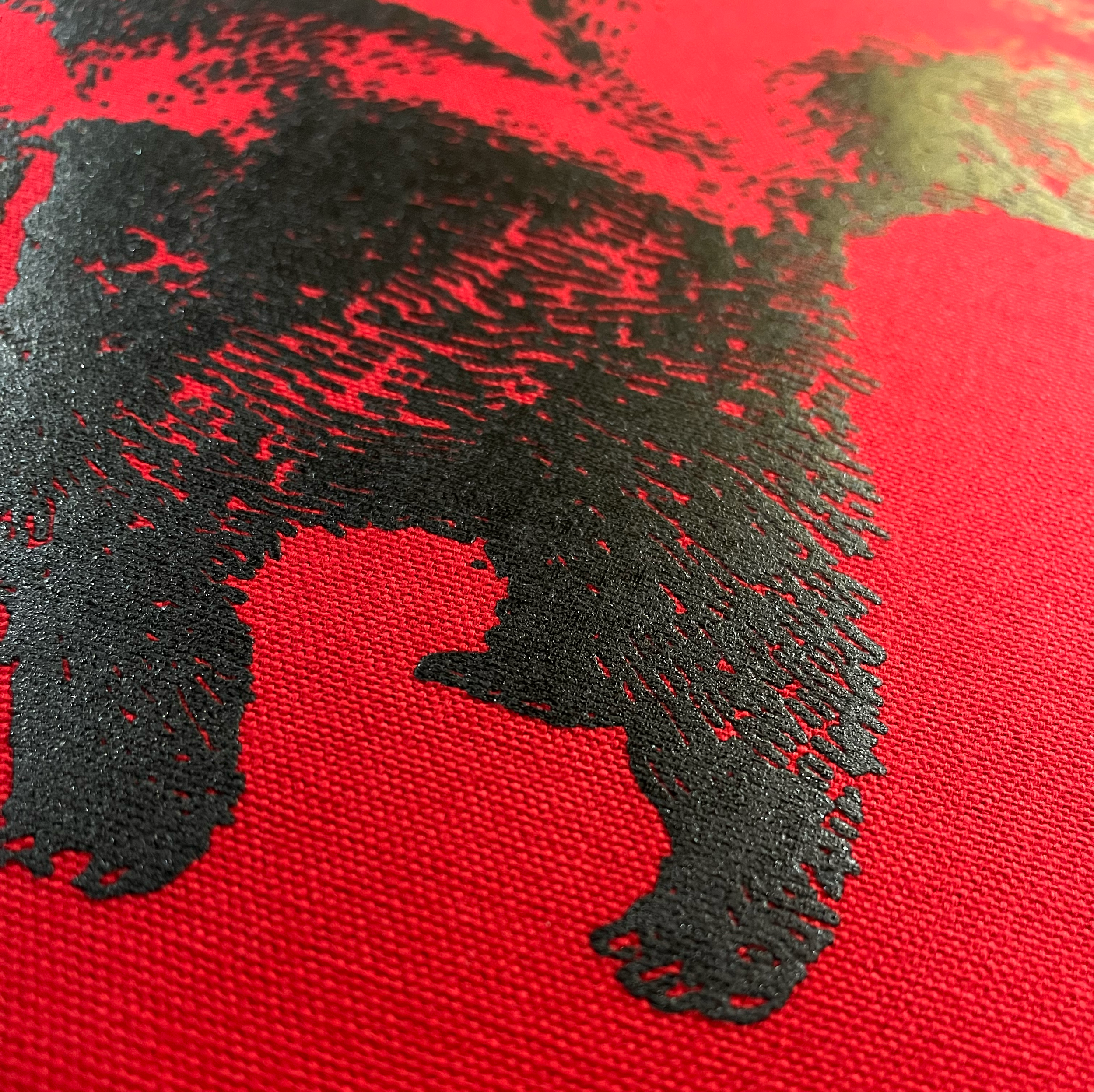 Skunk Black on Red Back Patch 02.png