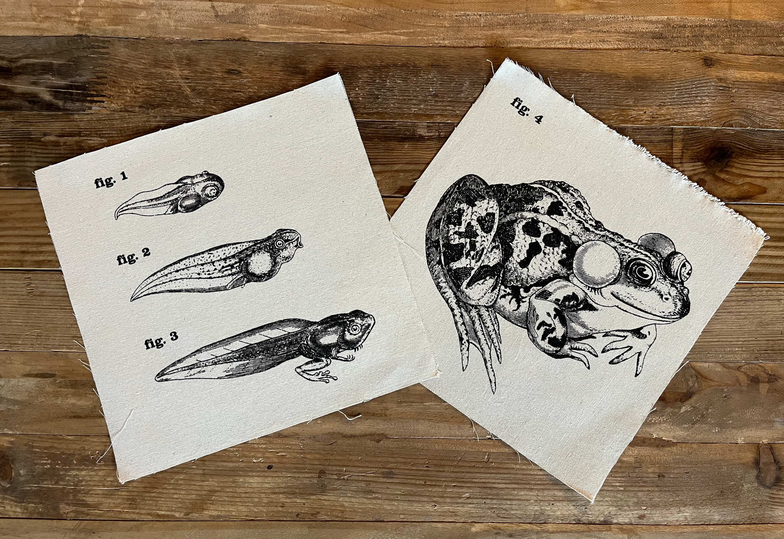 Frog Large Patches Natural.png