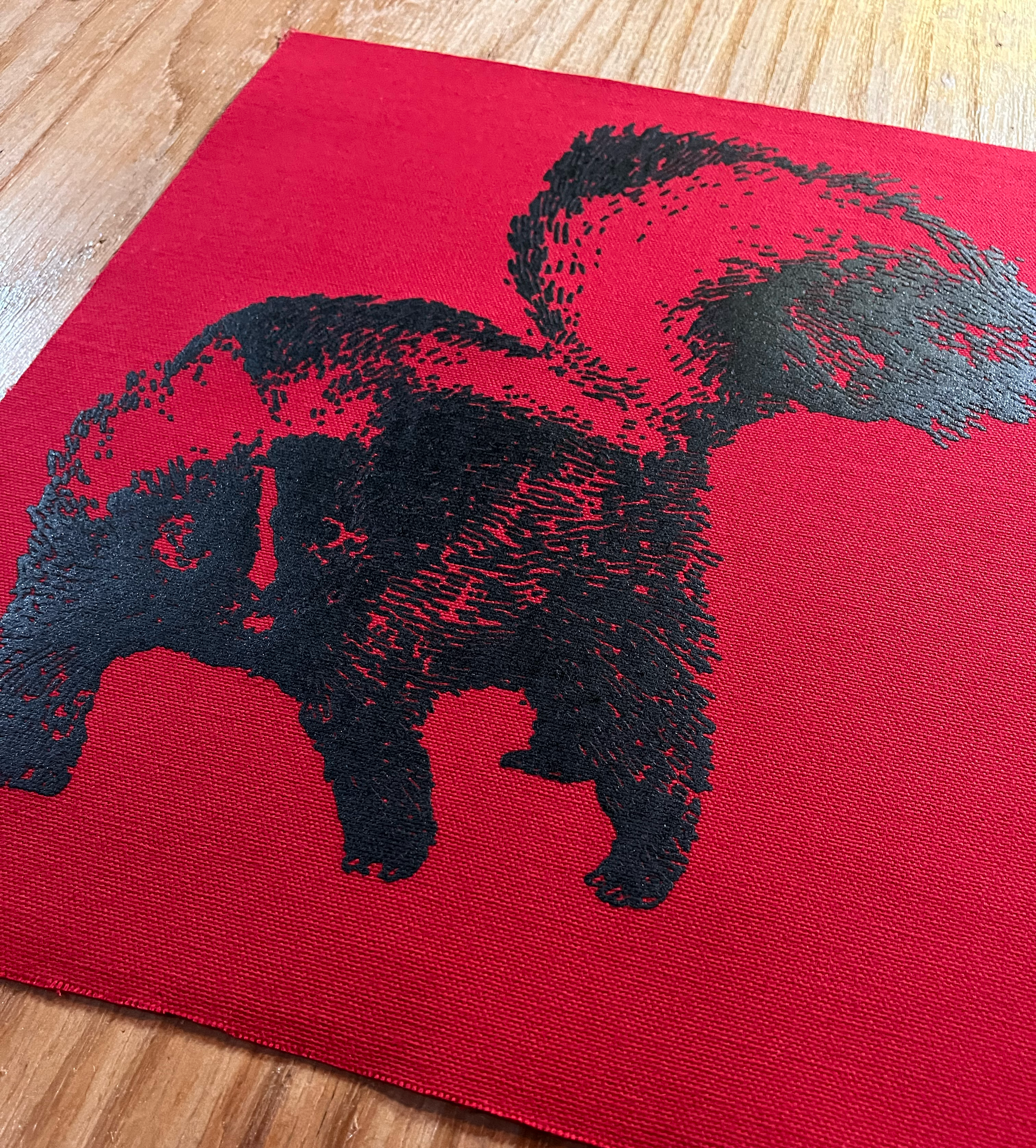 Skunk Black on Red Back Patch 01.png