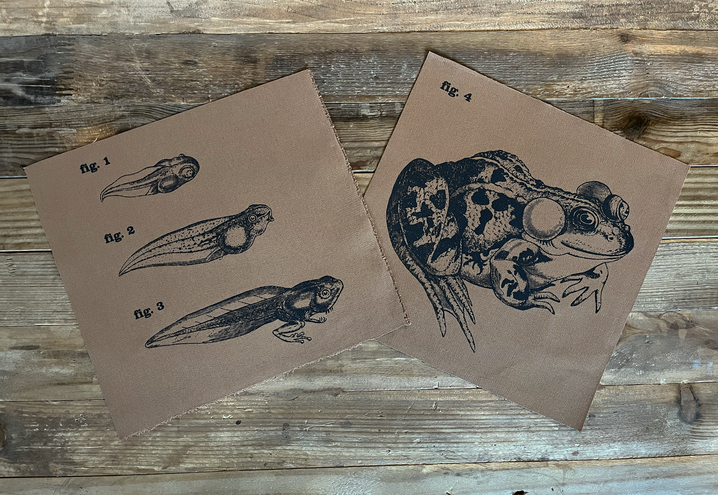 Frog Large Patches Light Brown Resize.png