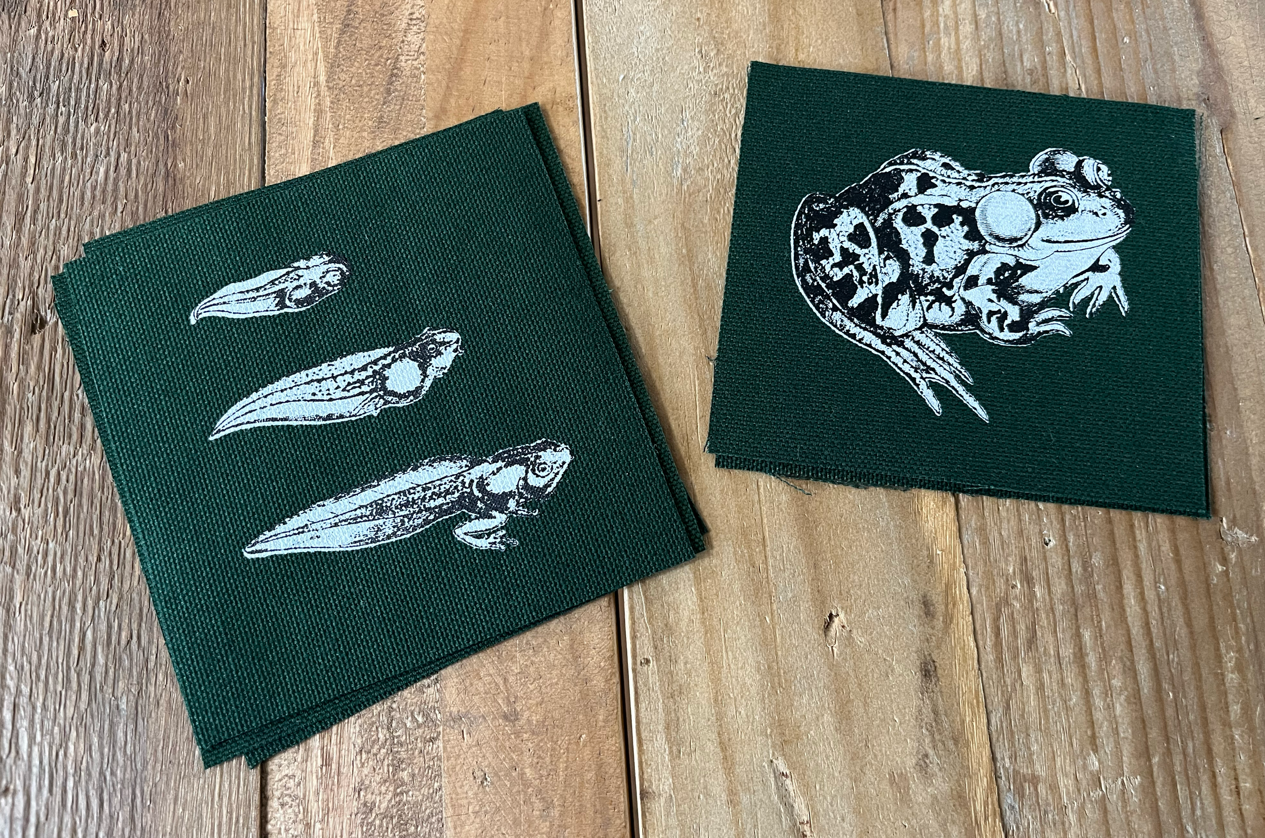 Tadpole Toad WHITE Ink Forest Green.png