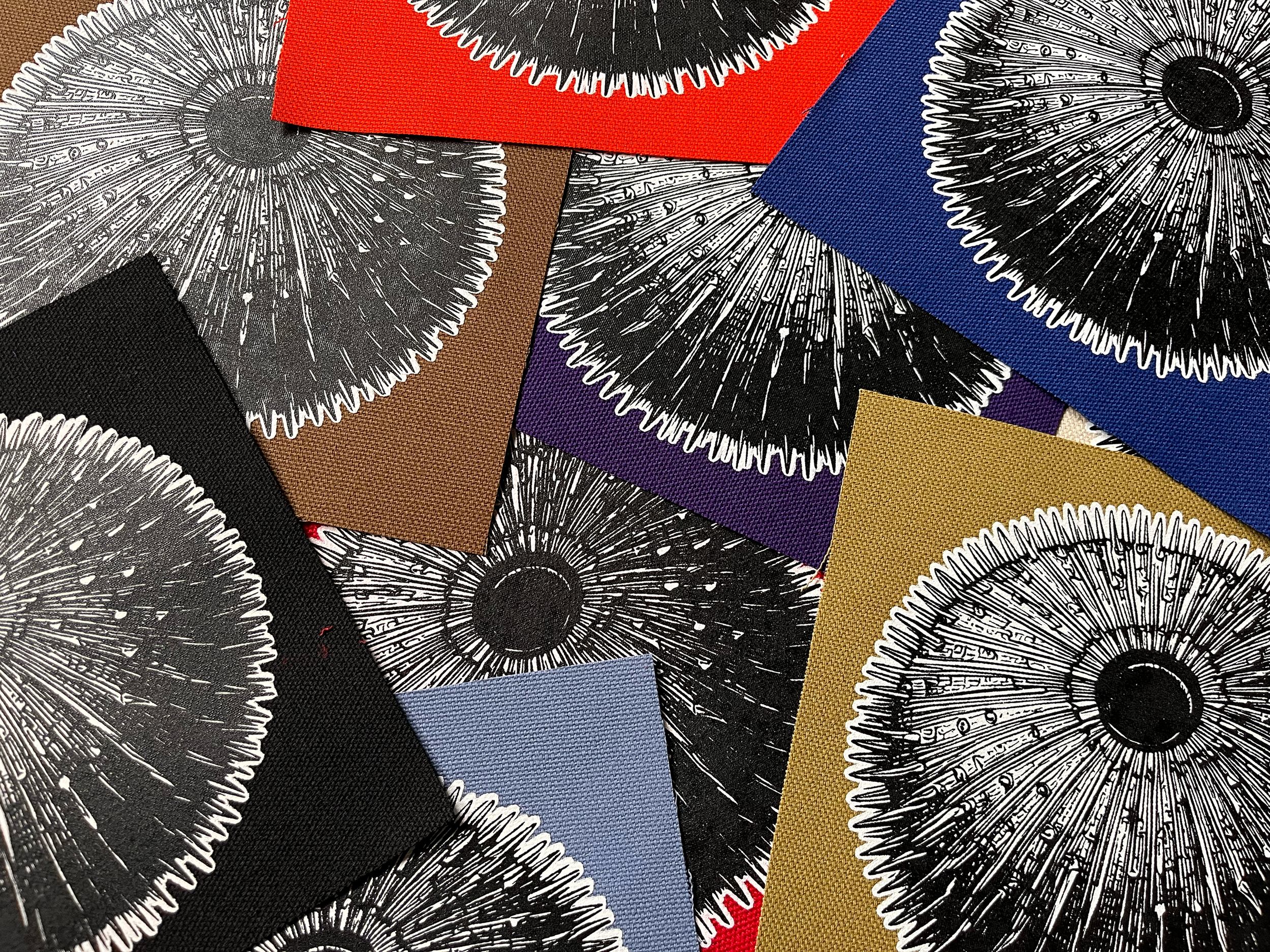 Urchin Small Patch Group Photo.png