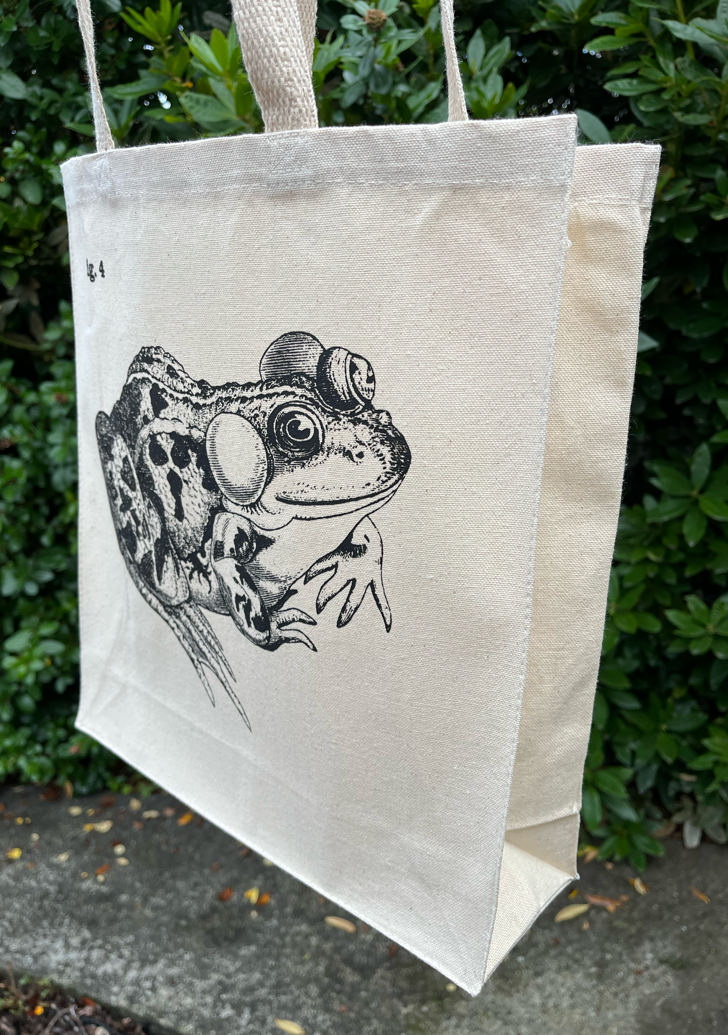 Frog 4 Figs Natural 07.png