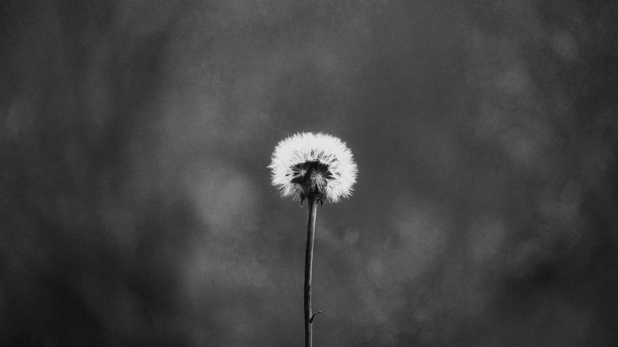 Vulnerability – Your Superpower, Not Your Kryptonite