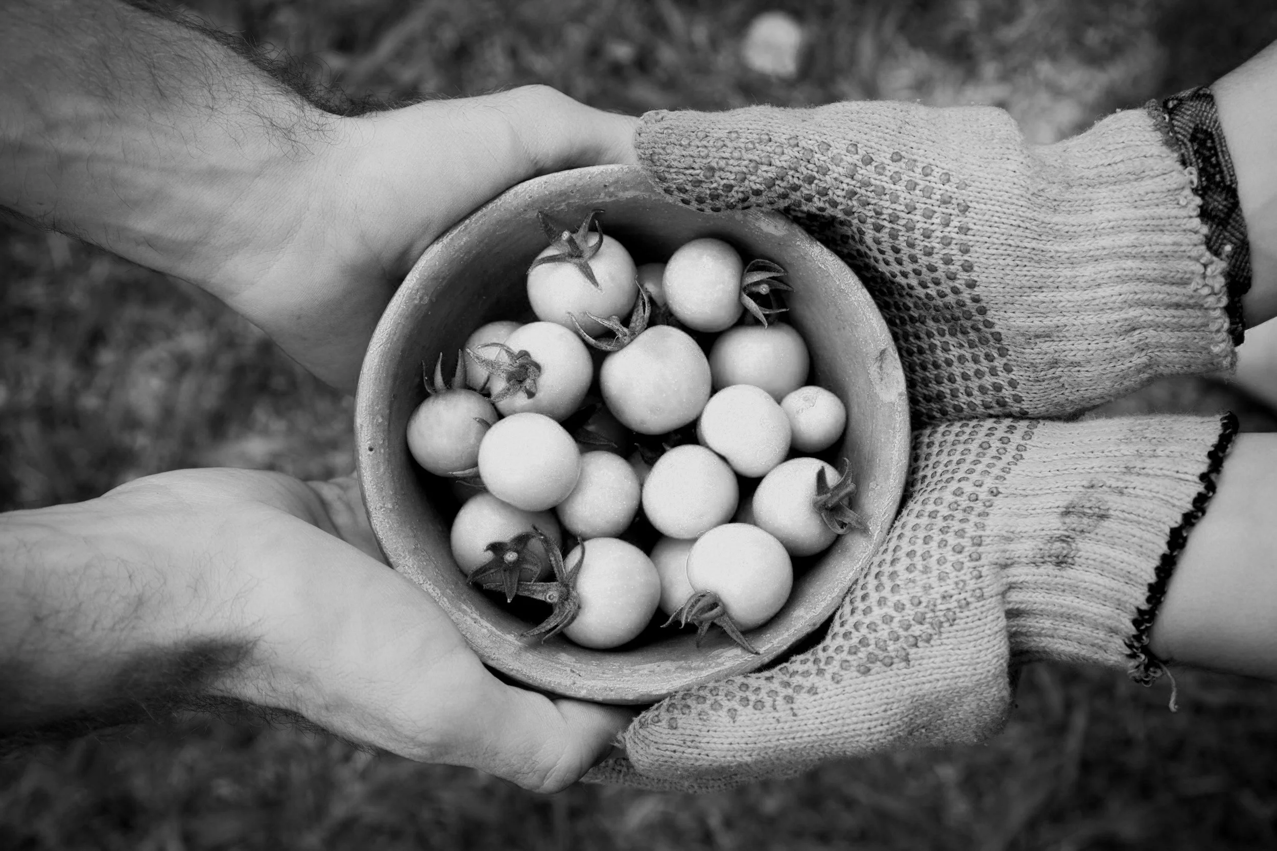 The Gift of Generosity and Why Giving Back Matters