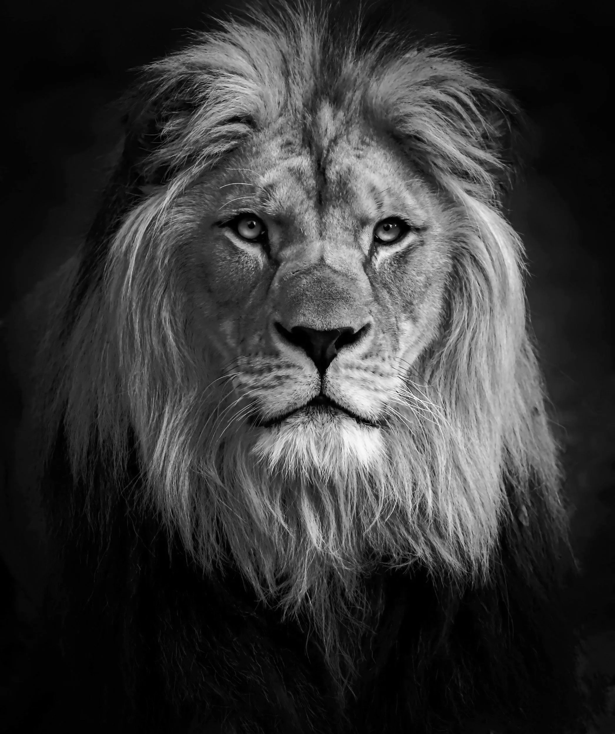 The Rise of The Sovereign Man