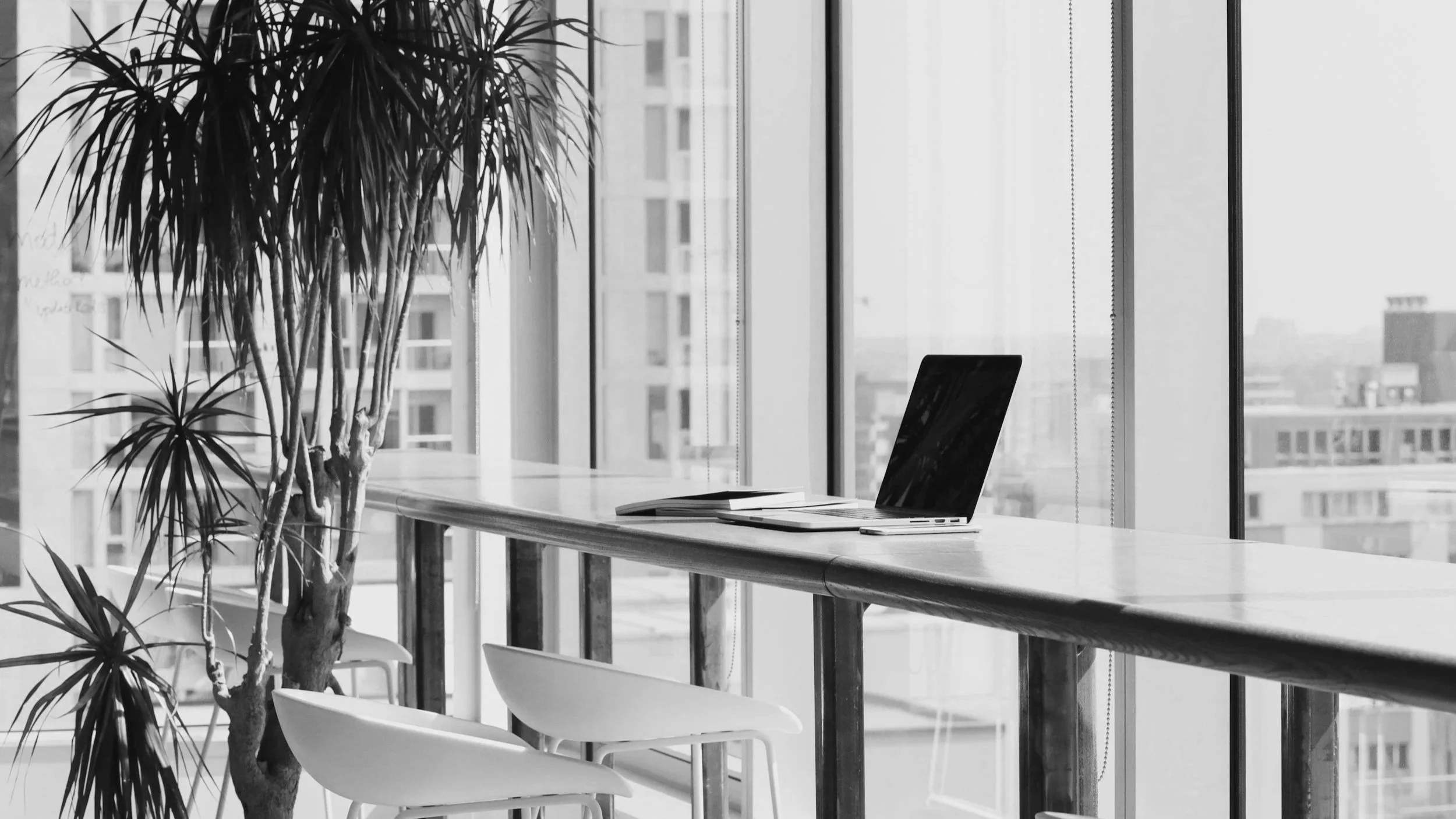 Renaissance Men: Survival Techniques of a Successful CEO