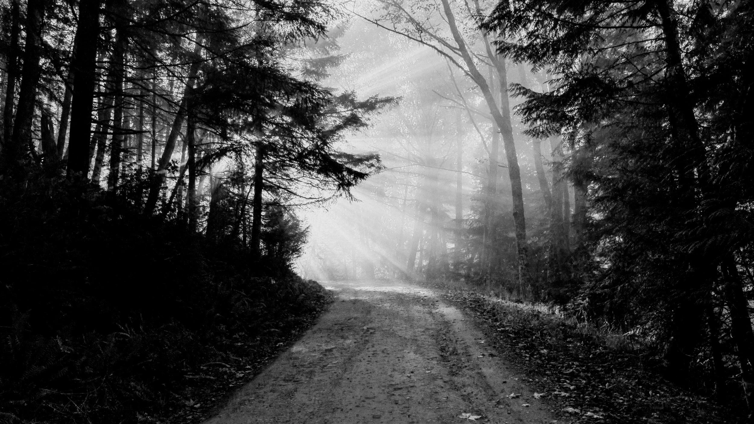 Commitment: The Path to a Miraculous Life