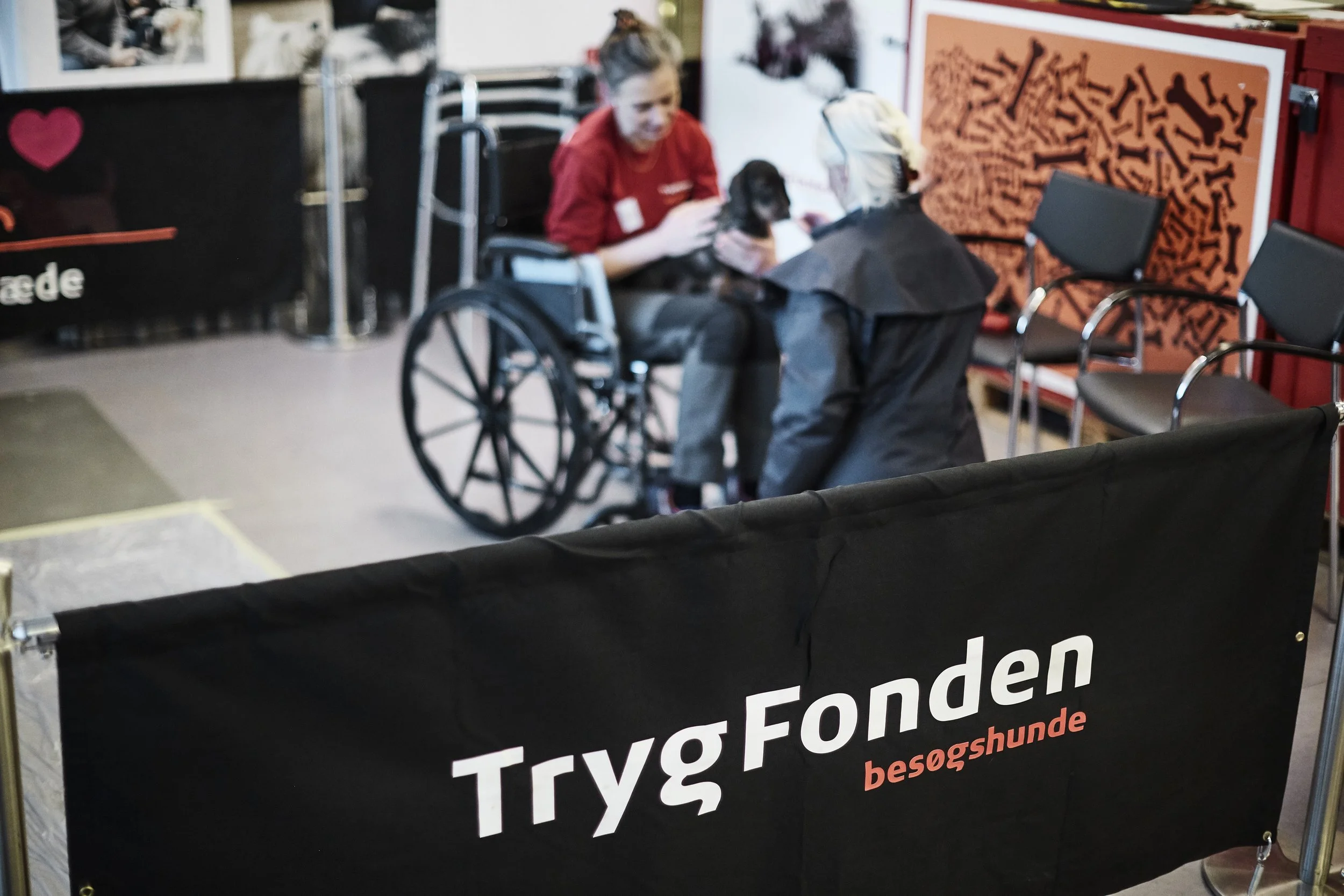 Besoegshunde_821.jpg