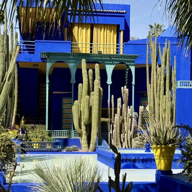 Cobalt blue architecture and cactus garden at Jardin Majorelle in Marrakech, Morocco