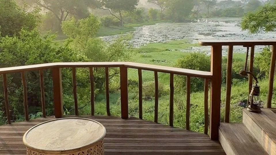 Private deck overlooking a lily-covered watering hole at Finch Hattons, Tsavo west , Kenya