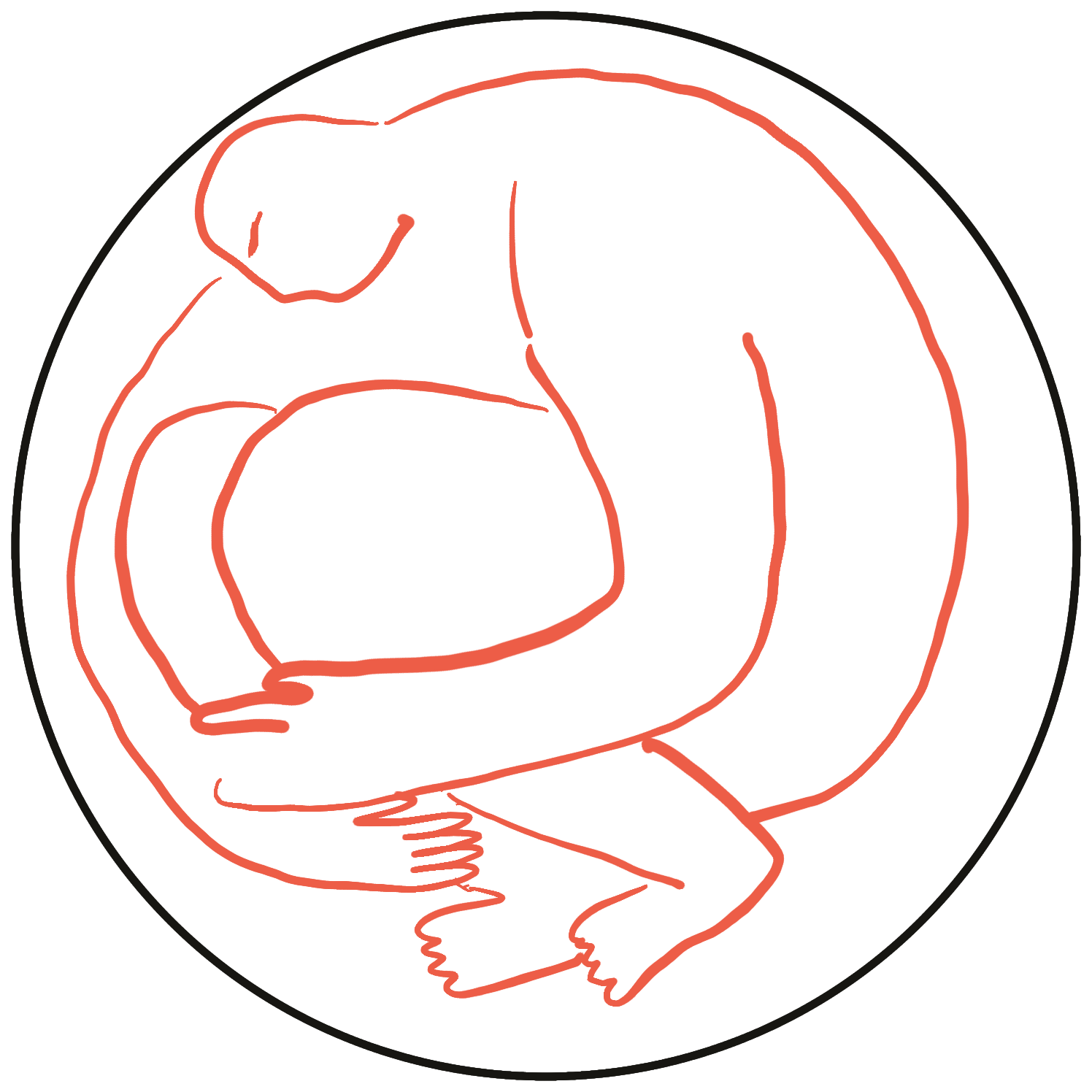 Du sol à votre intestin - le fil invisible de la santé