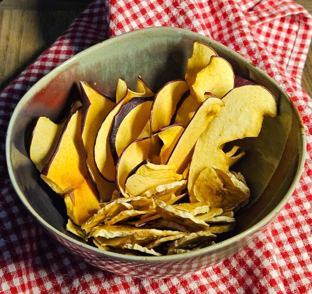 How I made fruit chips with a food dehydrator