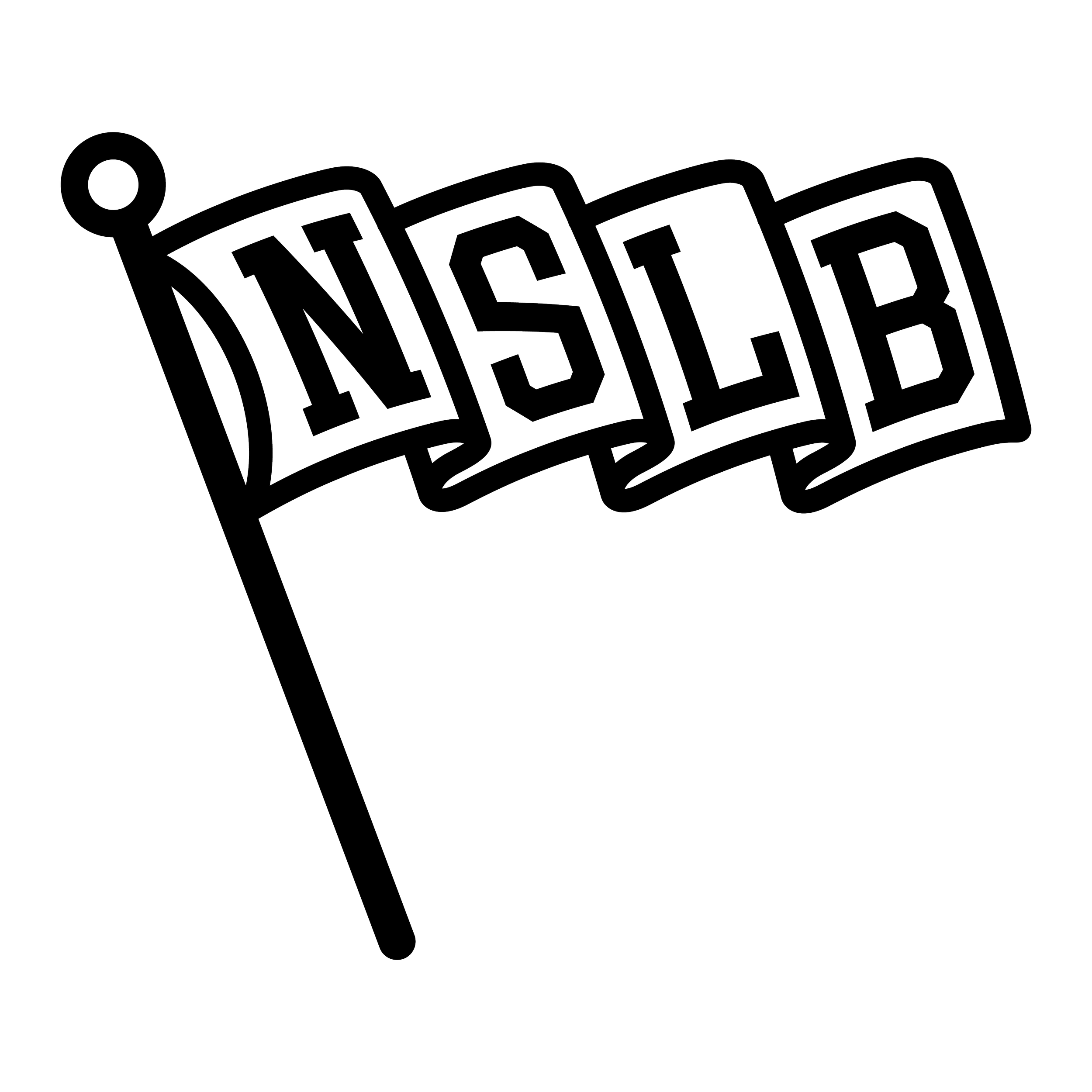 NSLB_FLAG_LOGO_BLACK copy.png