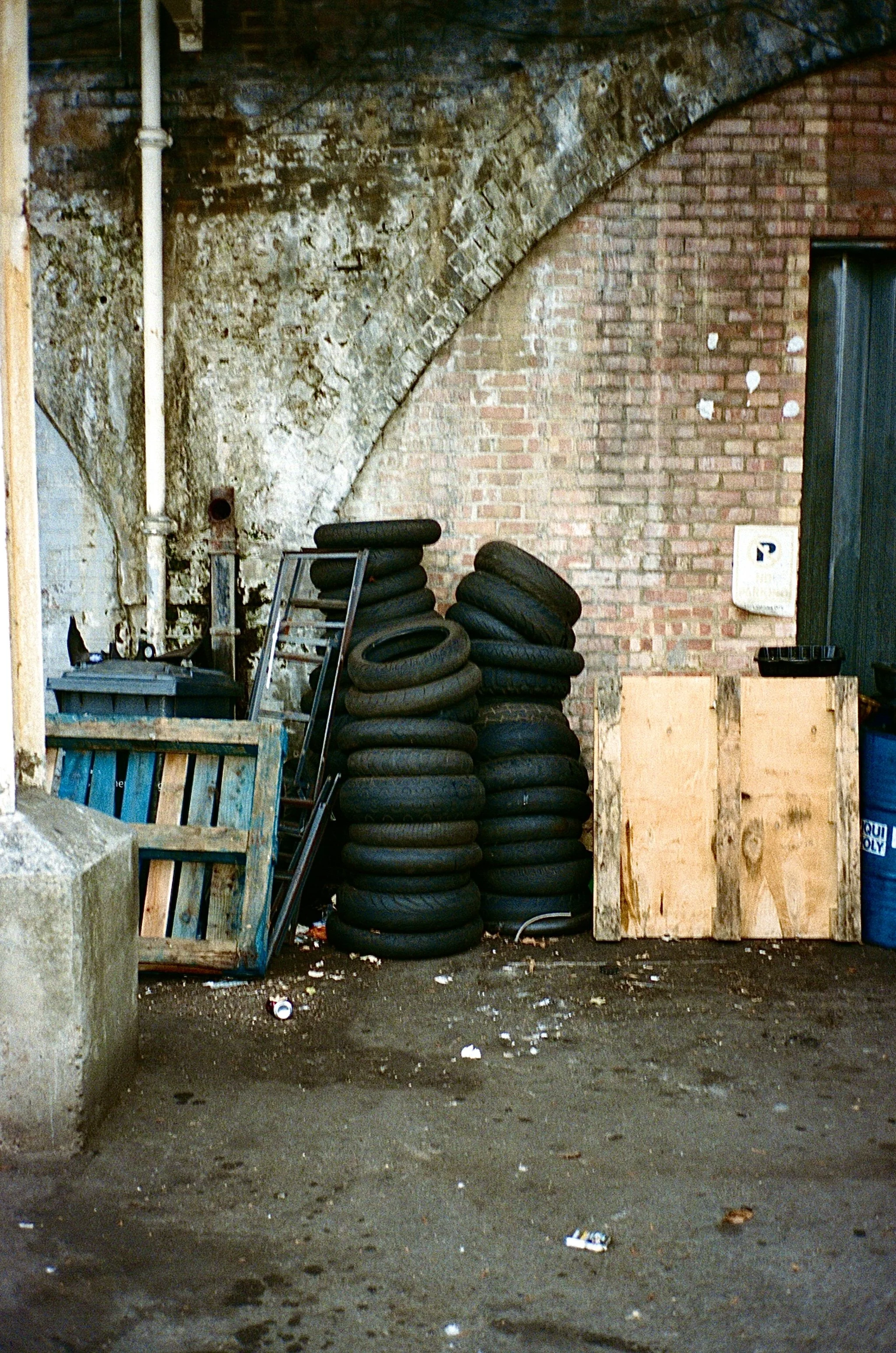 IMG_9993.jpg