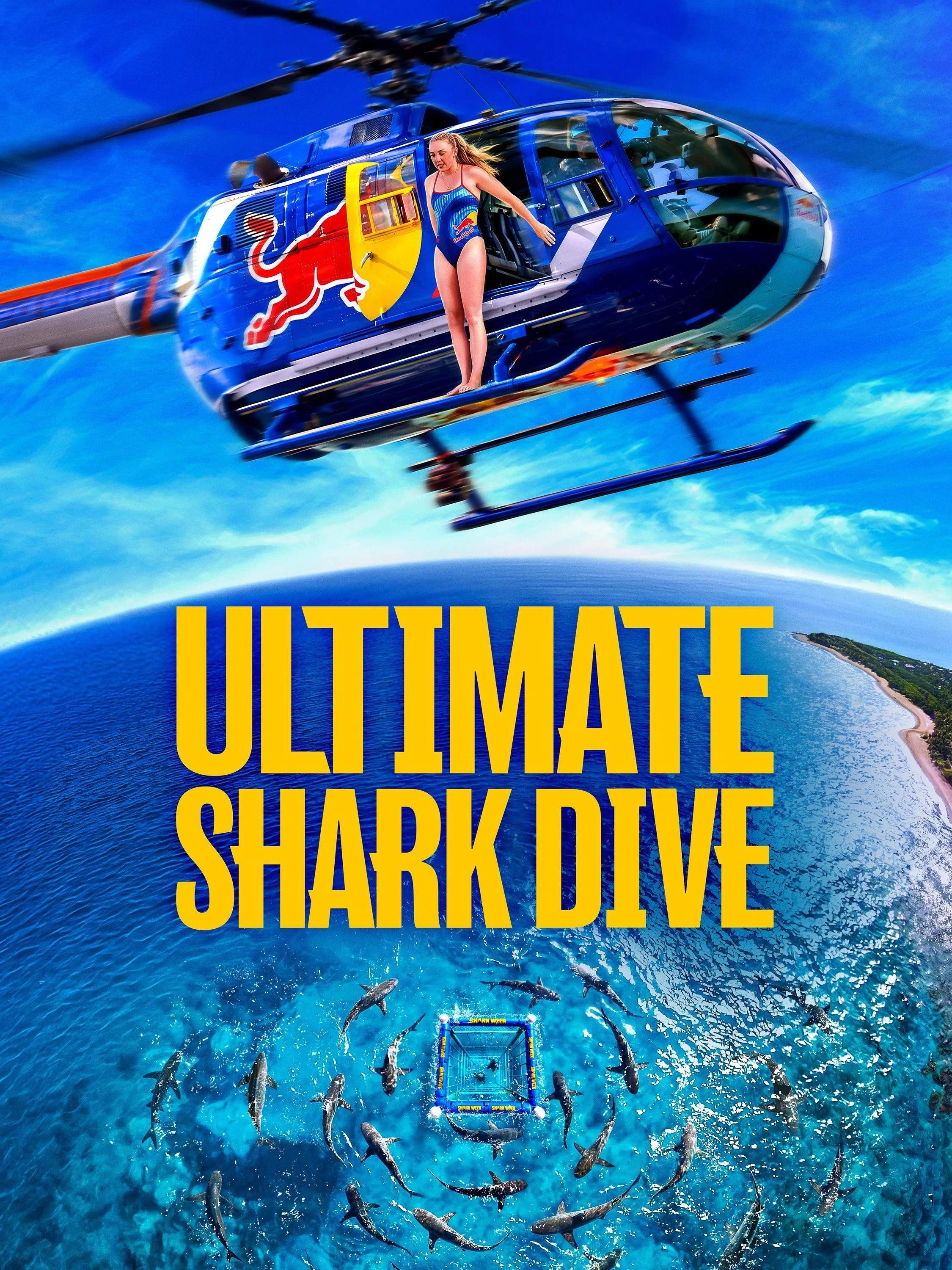 shark.jpg