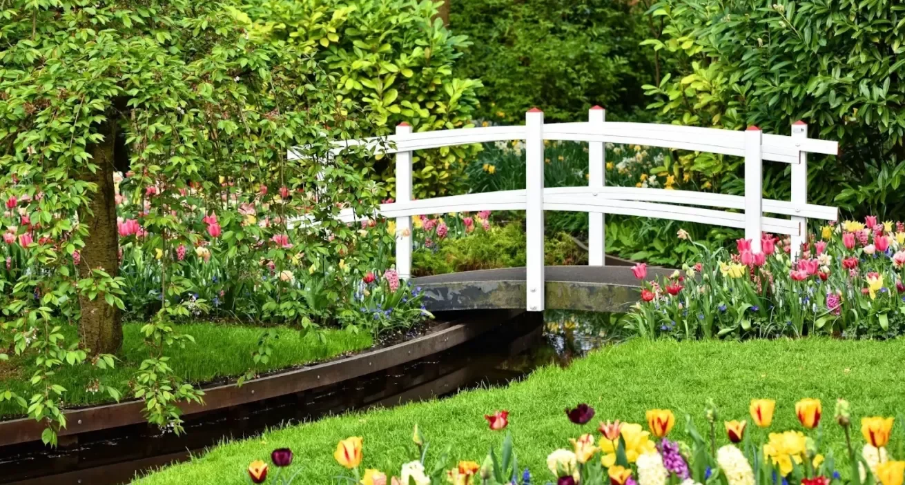 Basic tips for planning a landscape project