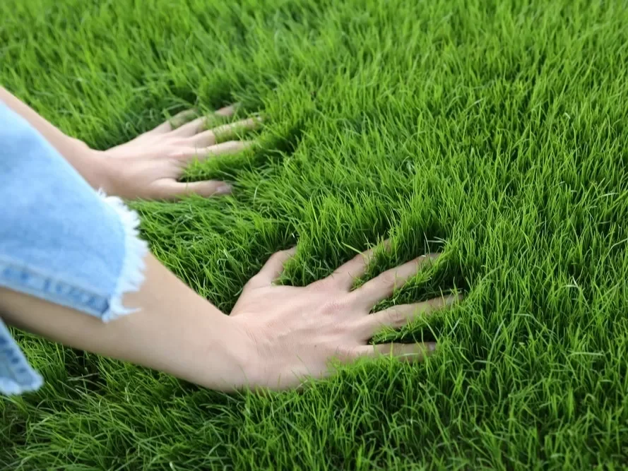 How to install artificial grass