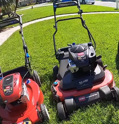 Basic lawn care and maintenance tips