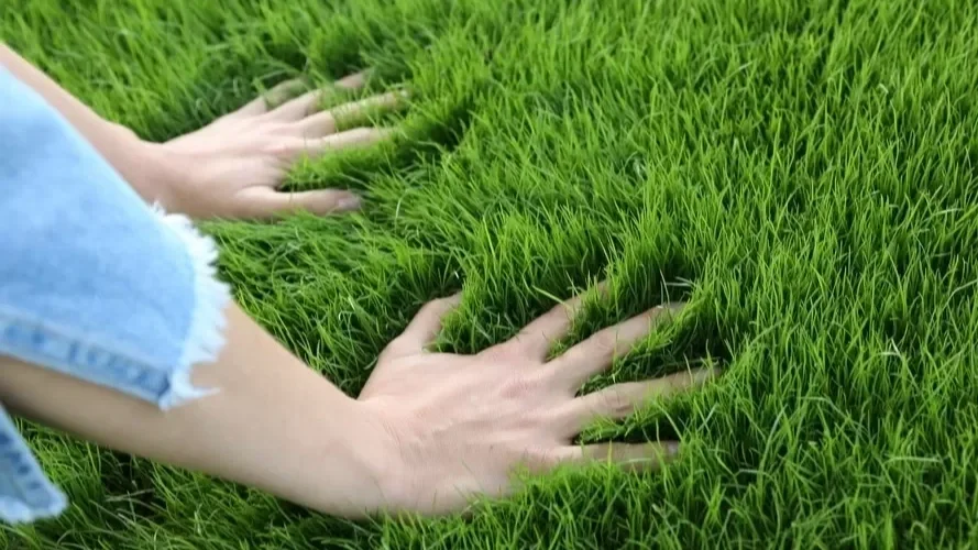How to install artificial grass