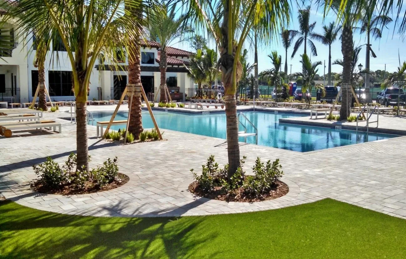 A swimming pool area with palm trees, lounge chairs, and a surrounding patio in a sunny, tropical setting.