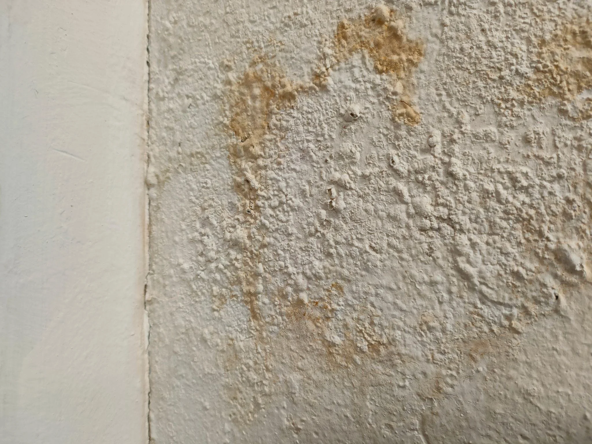 Waterproofing Contractor in NYC: Services That Stop Exterior Leaks