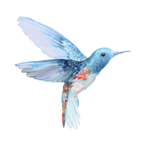 Graphic of a blue and orange watercolor bird.
