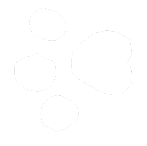 Silhouette of five rocks on a black background, varying in size and shape.